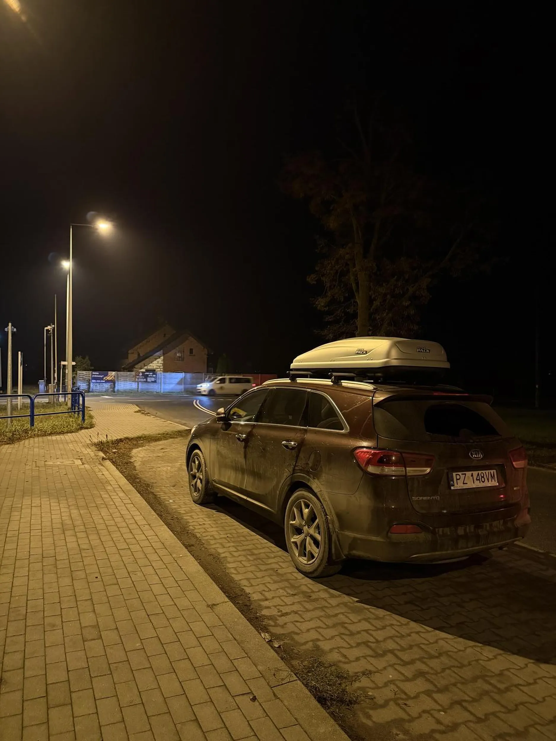 Ani z przodu ani z tyłu nie mogłam zaparkować. Ludzie schodzą na psy