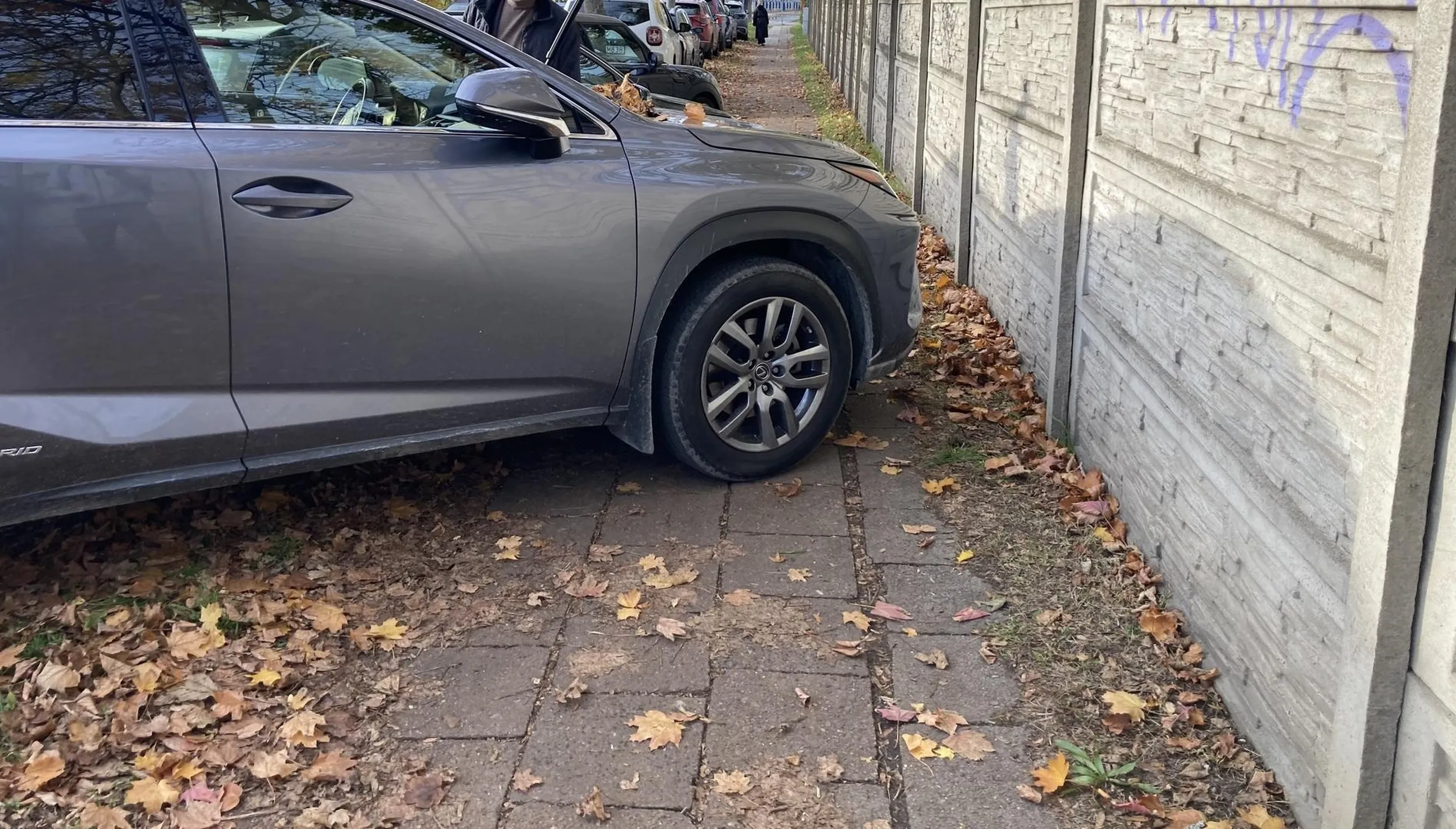 Parkowanie bez komentarza