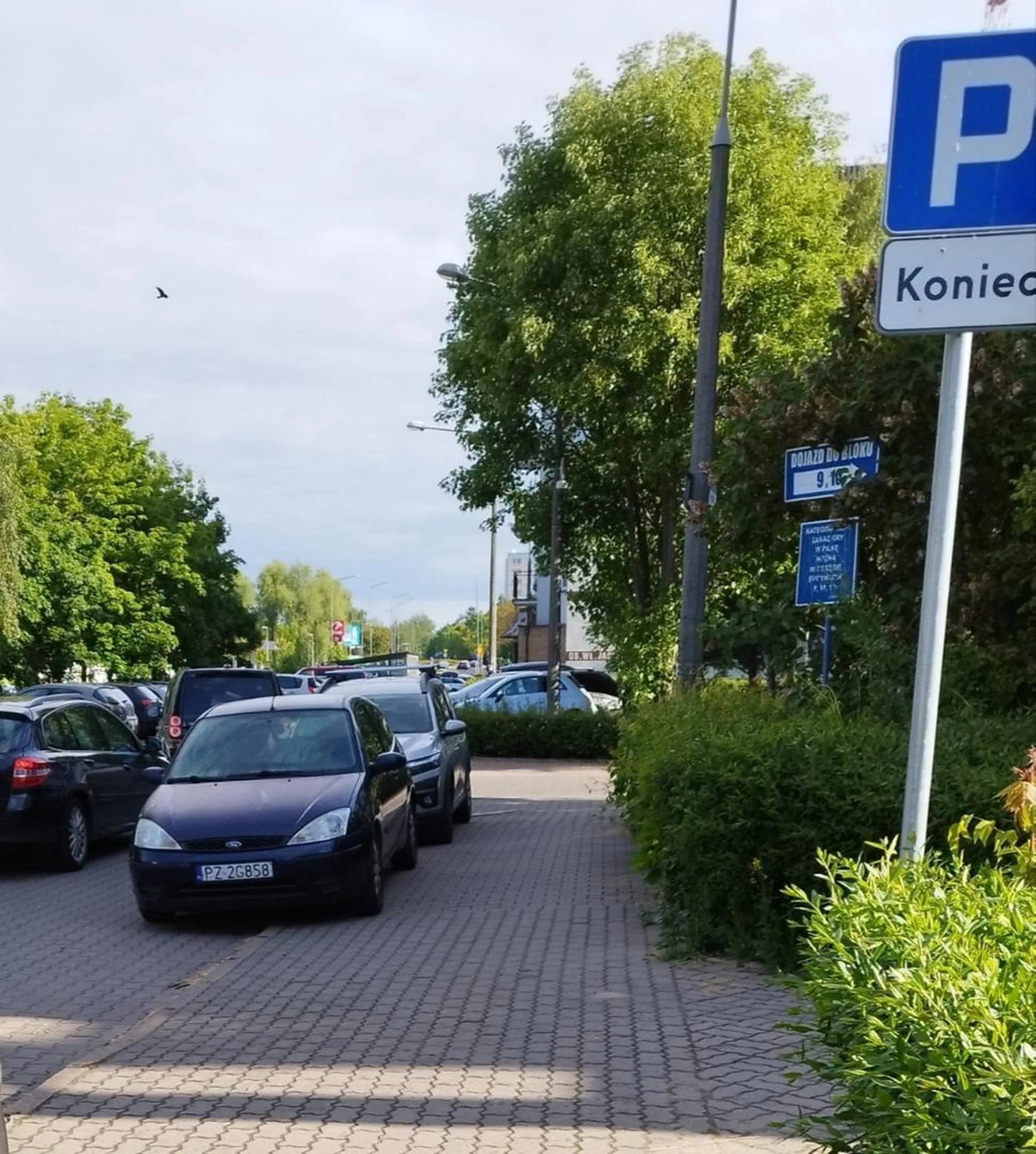 Proste znaki za trudne a widac ze to nie poerwszy raz