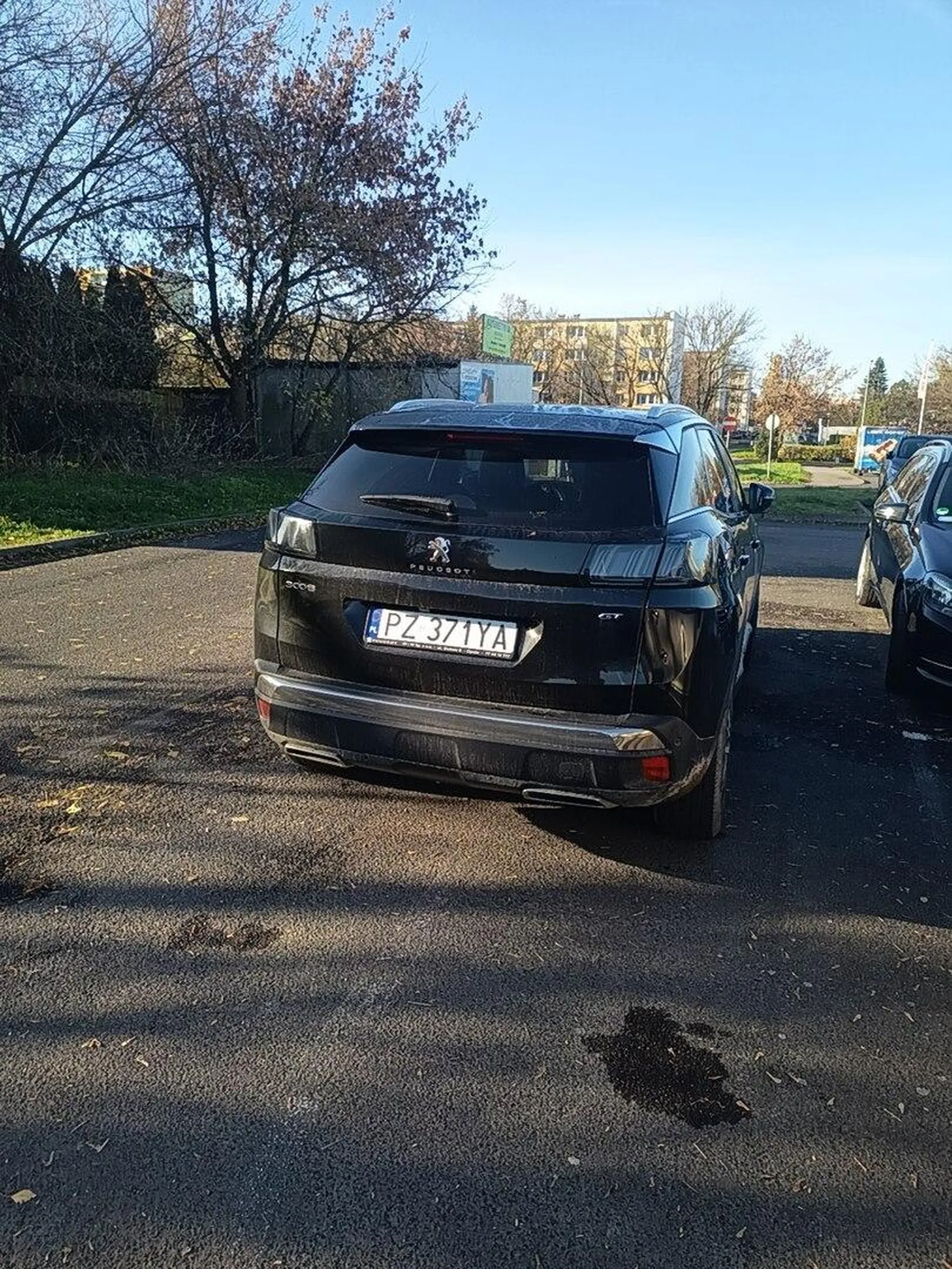 Naucz się kur parkować