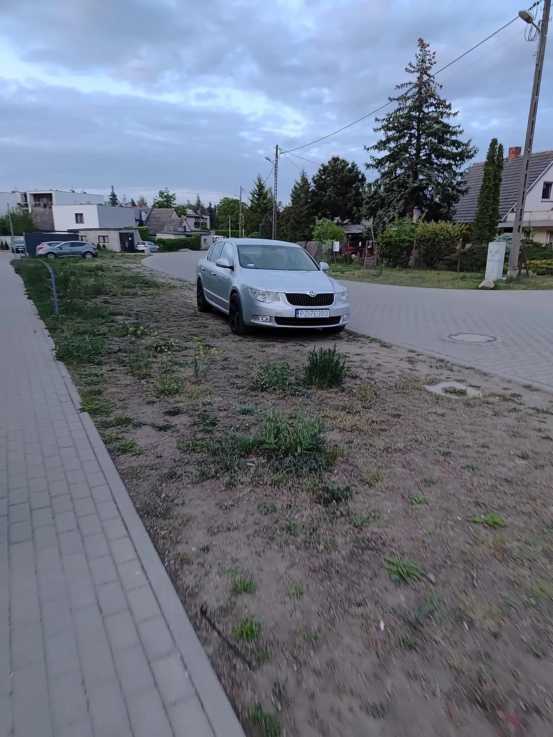 Notoryczne niszczenie trawnika