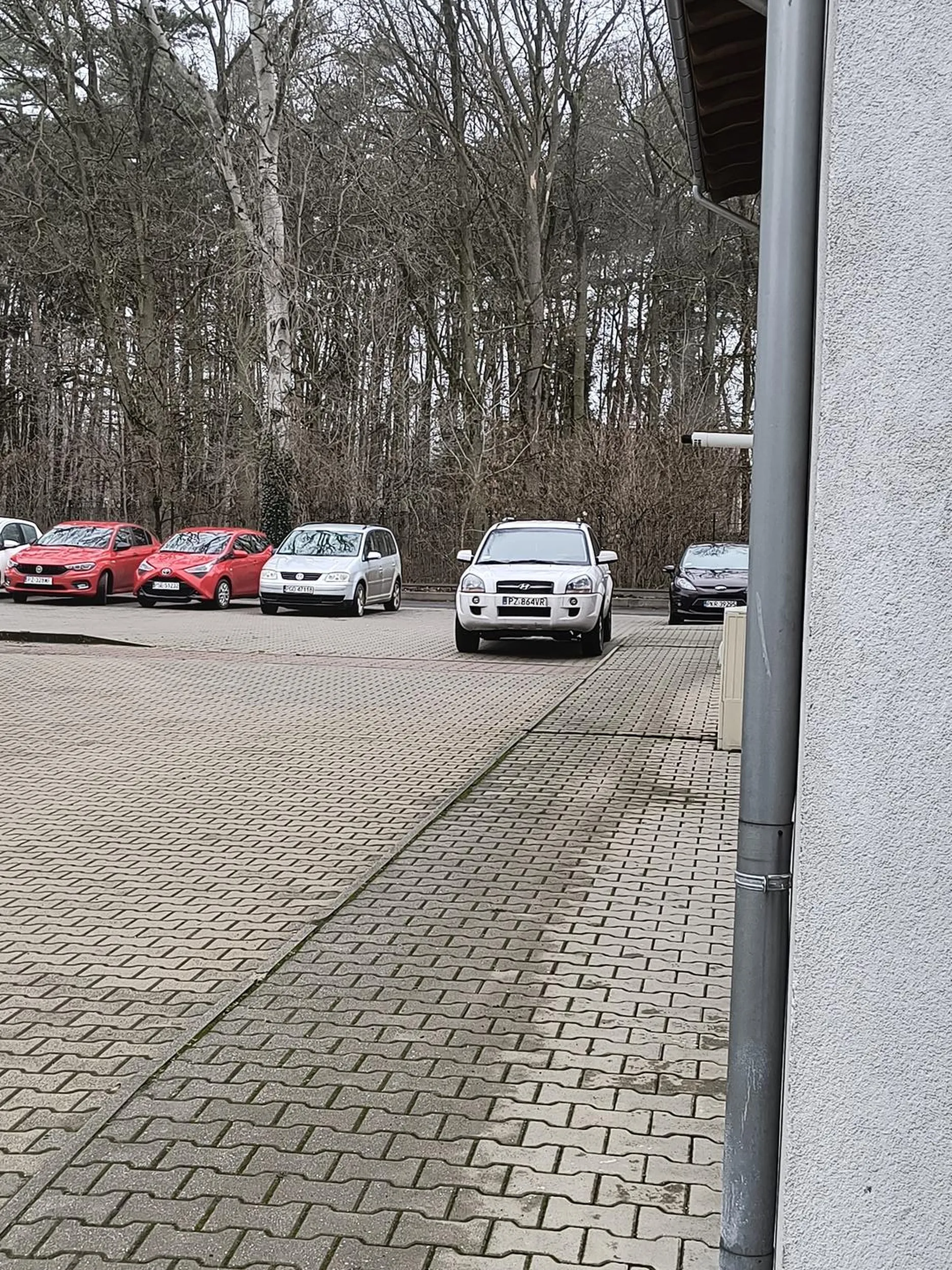 Ku*tas zastawia wiazd bo jest święta krowa i wszystko mu przeciez wolno.