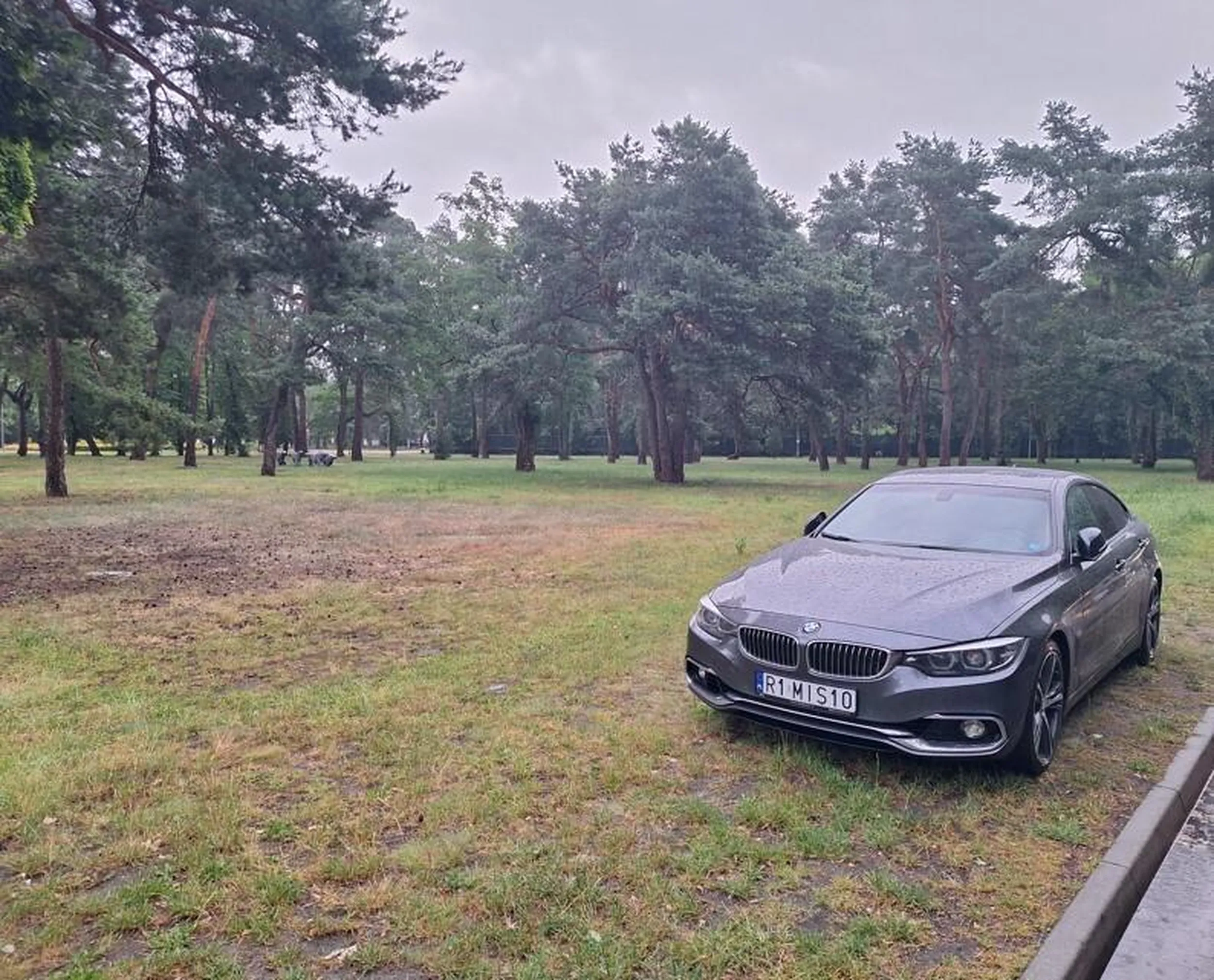 Parking jest 20 metrów dalej. Co robi wiśniak jak jest leniwy? Wbija się na trawę a parku zdrojowym.