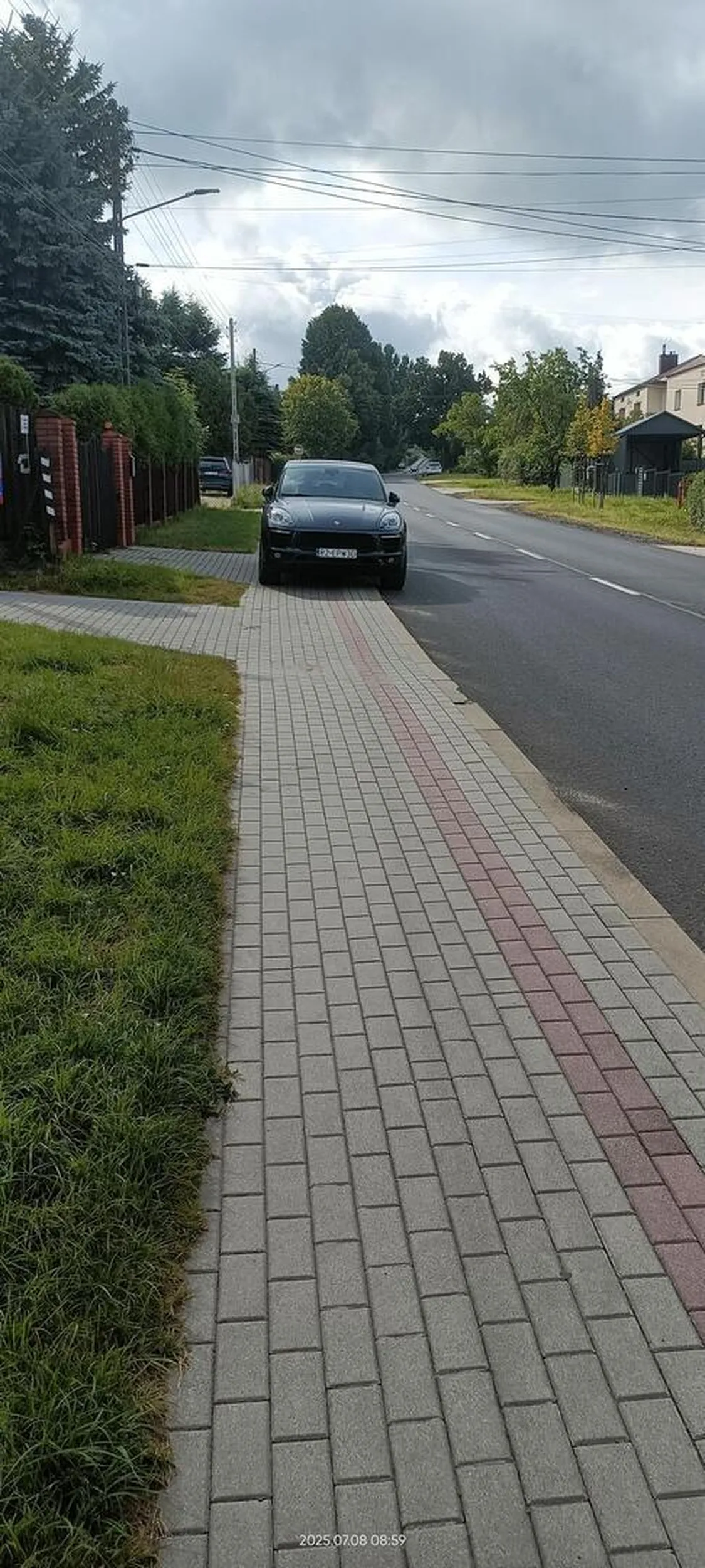 Święta krowa chodnikowa.