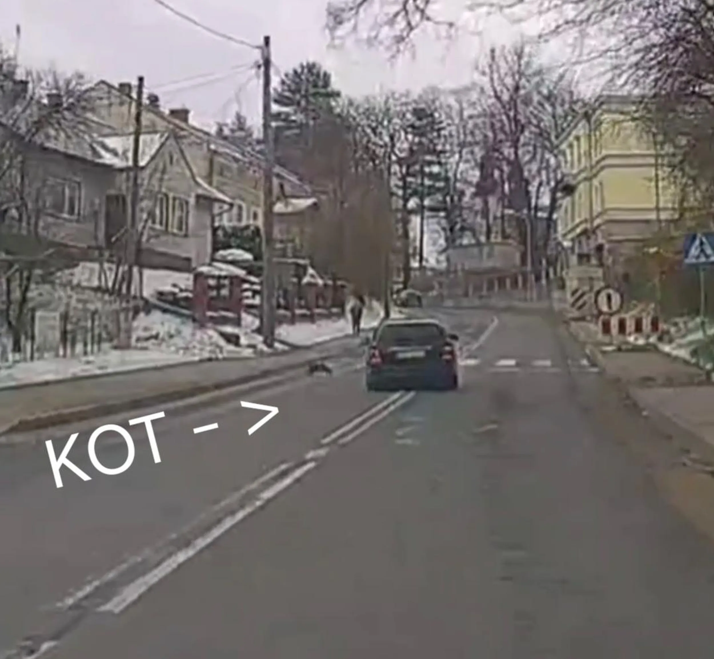 Kierowca próbował specjalnie rozjechać kota, na szczęście kot jest sprytniejszy niż burak z Mercedesa