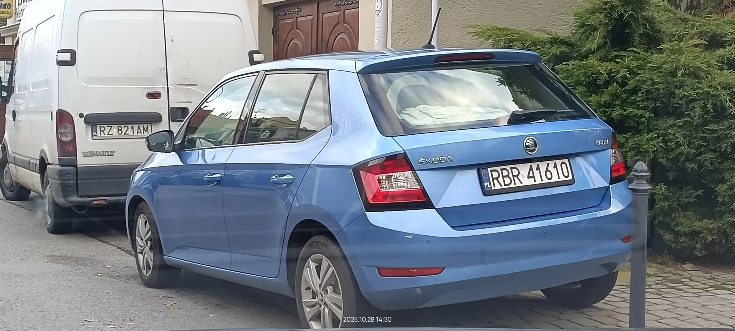 Święta krowa chodnikowa.