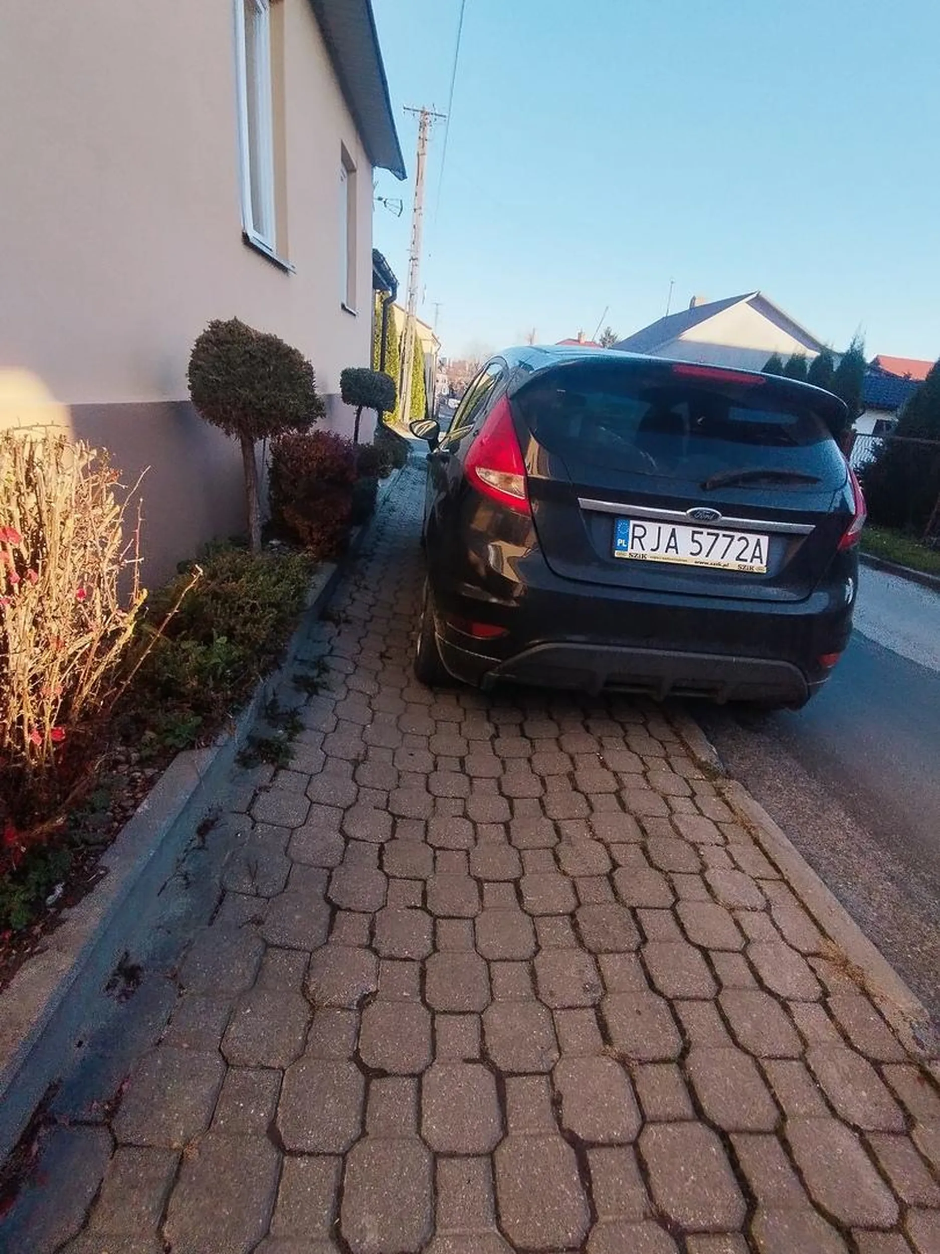 Święta krowa staje na chodniku jak jakiś upośledzony dzieciak nie zna przepisów lub coś ?