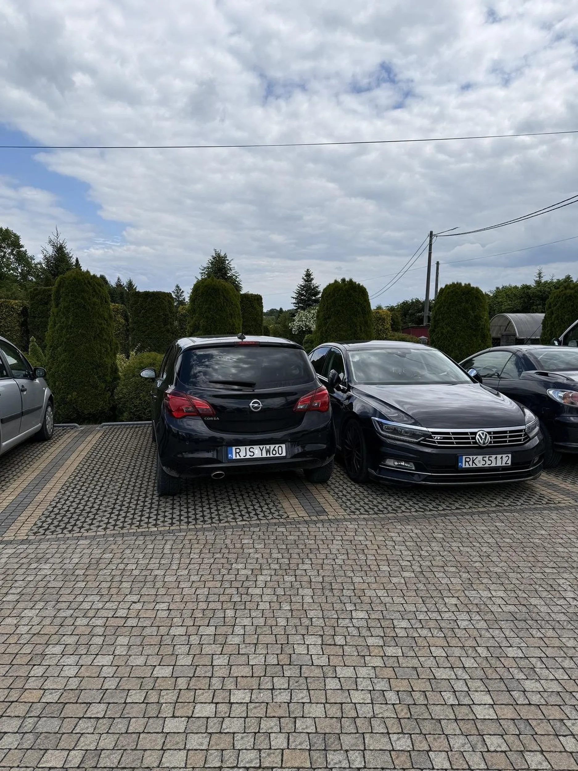 mistrzyni parkowania