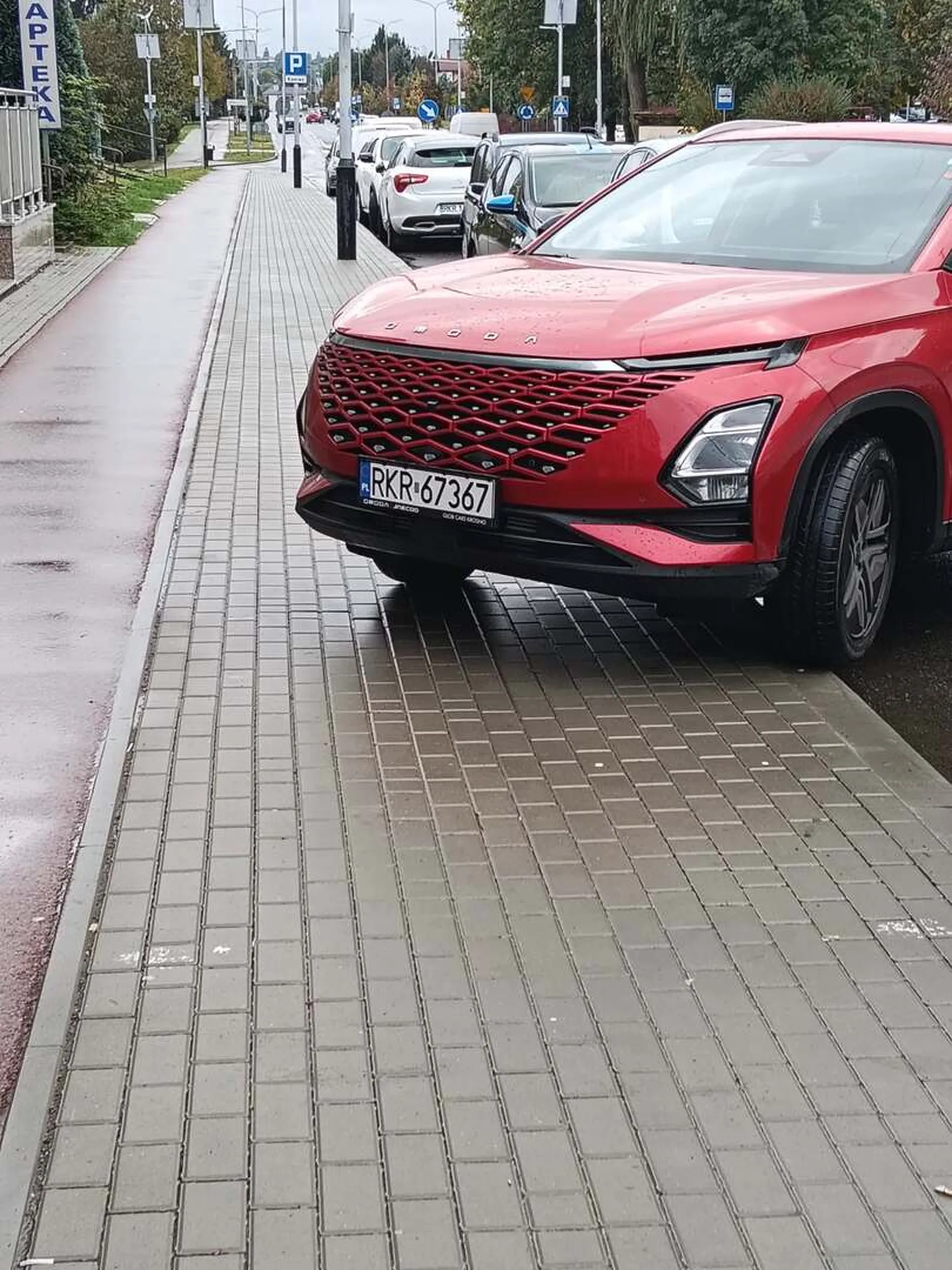 Geniusz parkowania! Prawo jazdy znalezione w chipsach?