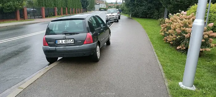 Święta krowa chodnikowa