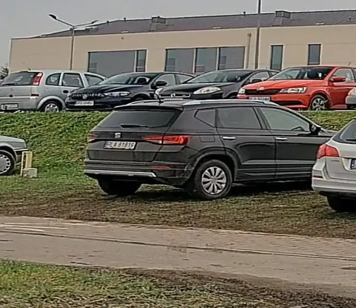 Jeździ wzdłuż po chodniku i parkuje na trawniku.