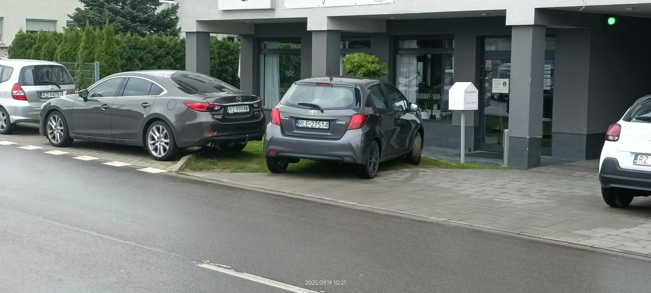 Święta krowa trawnikowa.