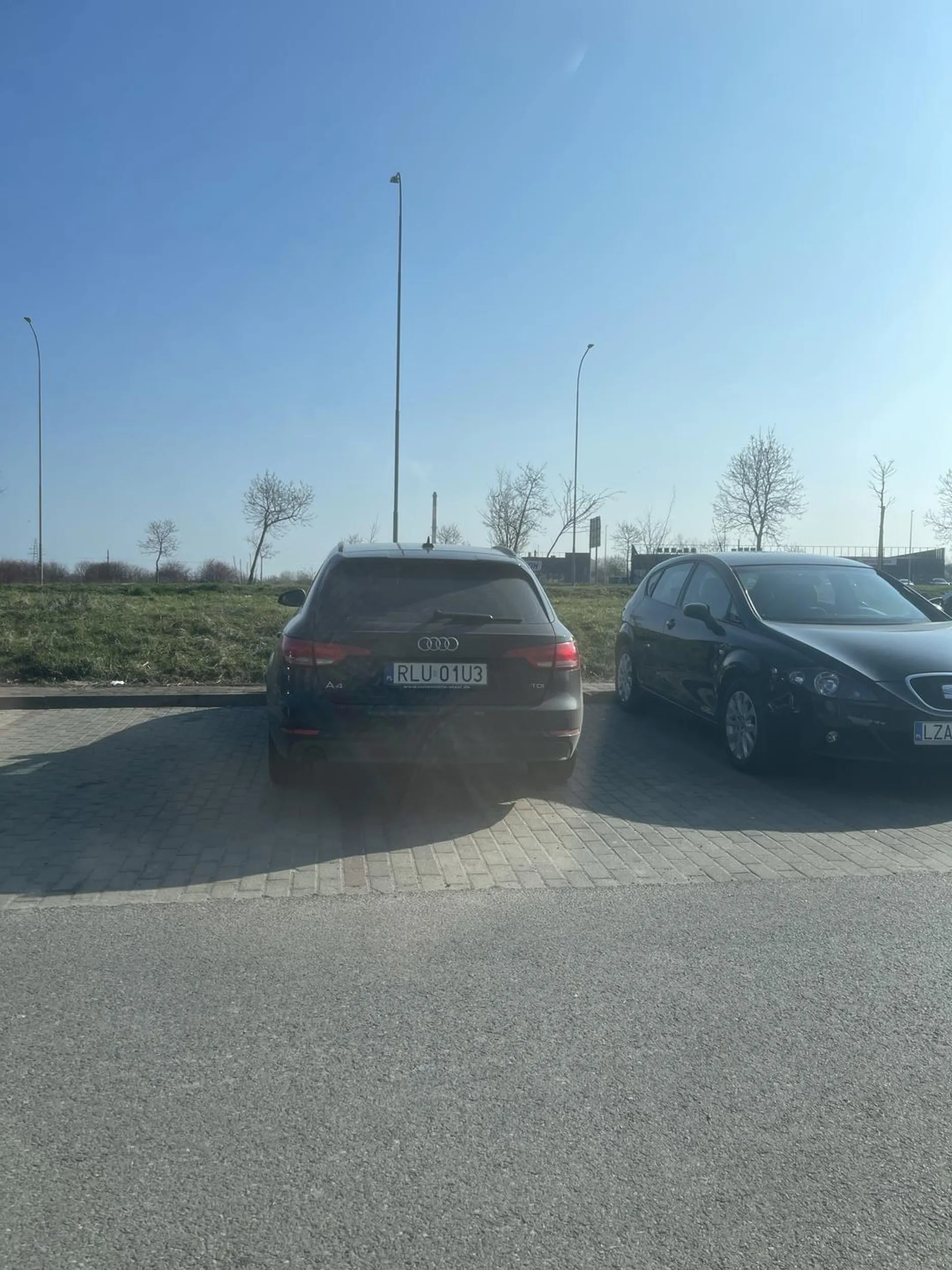 Naucz sie ciamajdo parkować ?