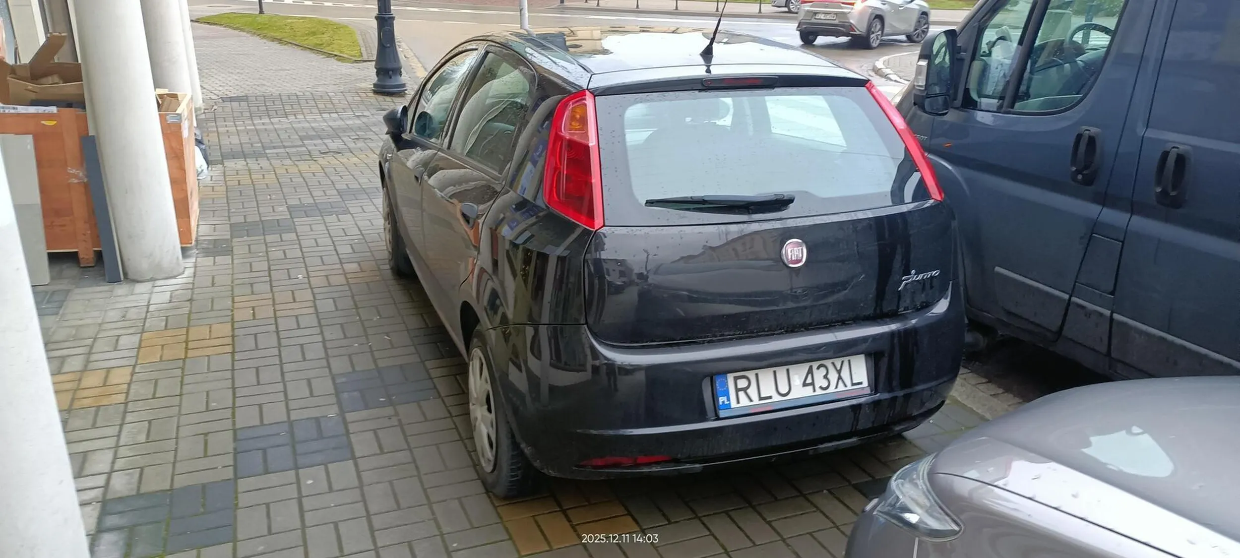 Święta krowa chodnikowa.