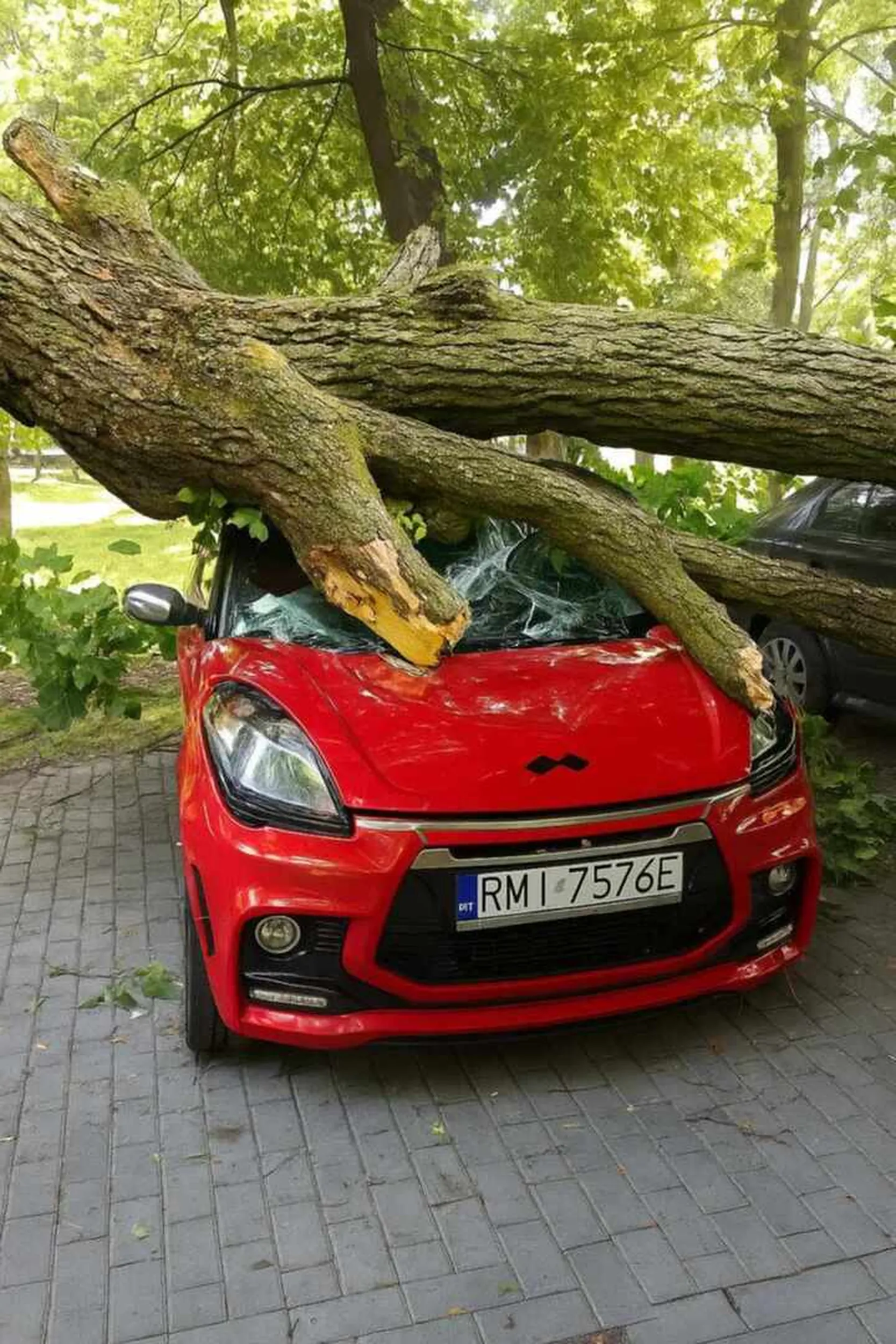 Okropny kierowca, kłoda mu na auto spadła