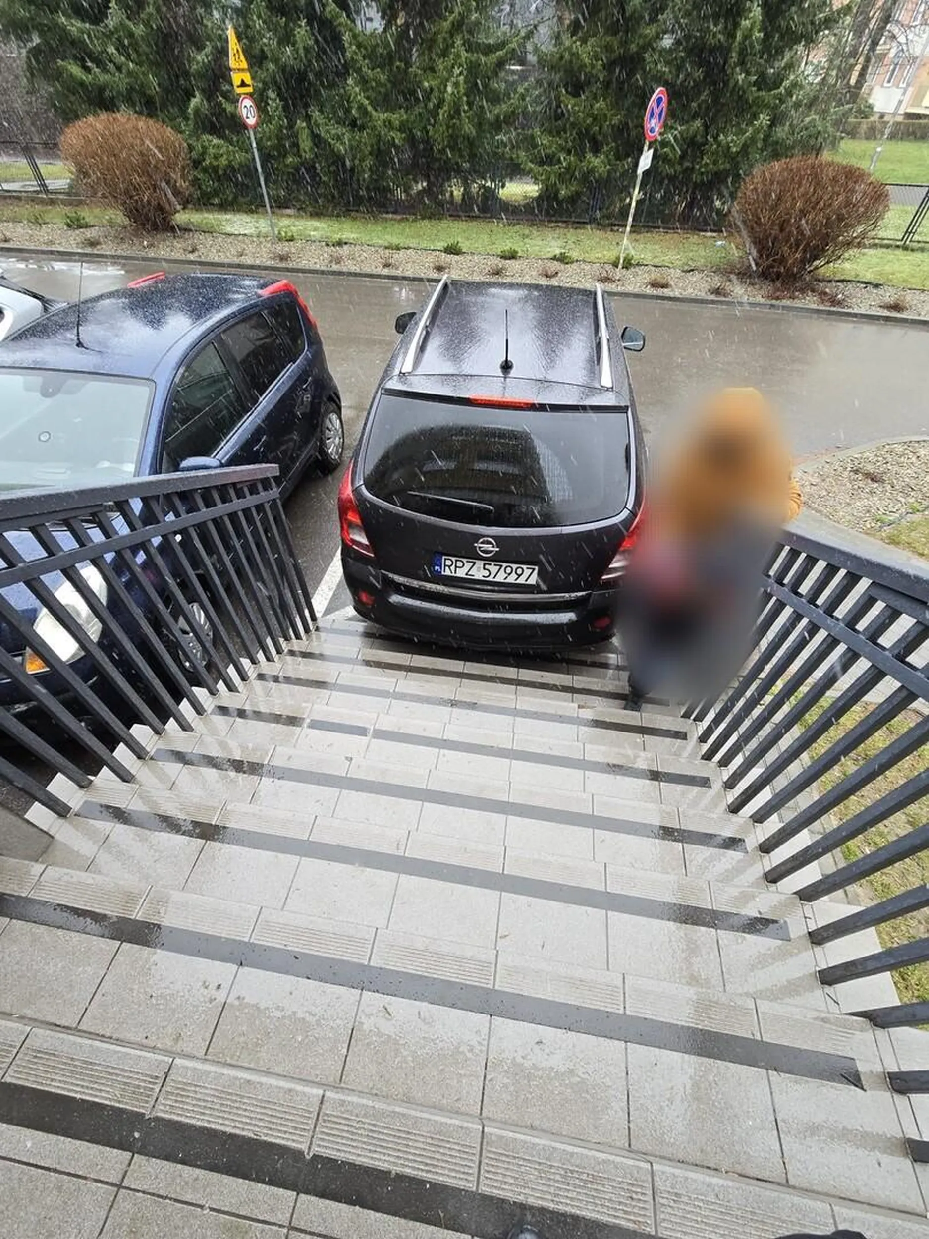 Kutas blokuje wejście