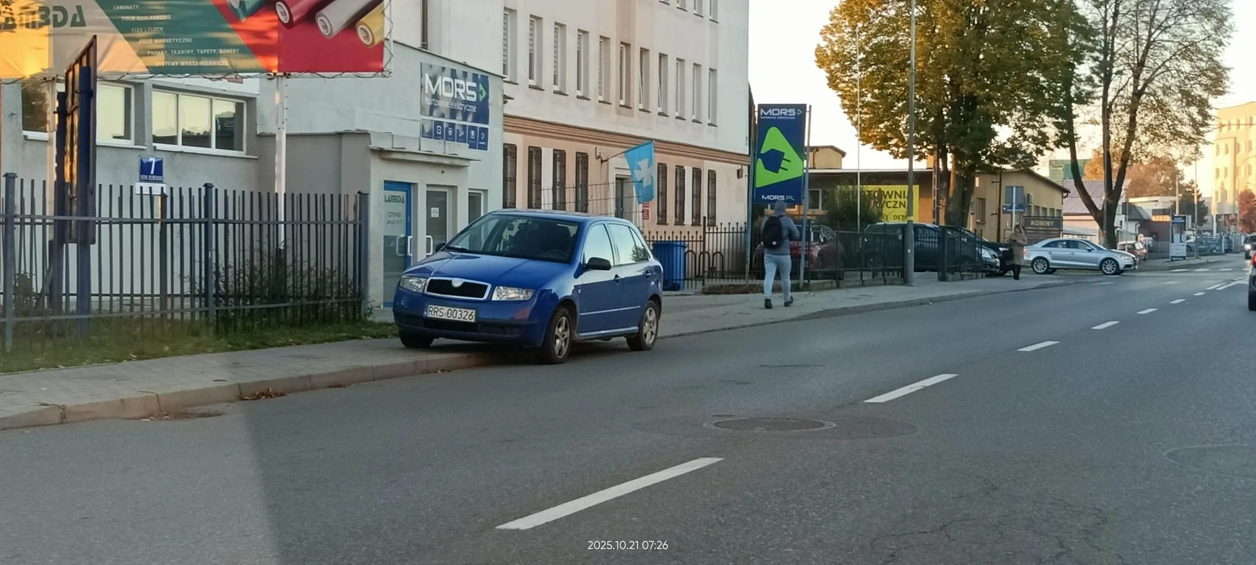 Święta krowa chodnikowa.