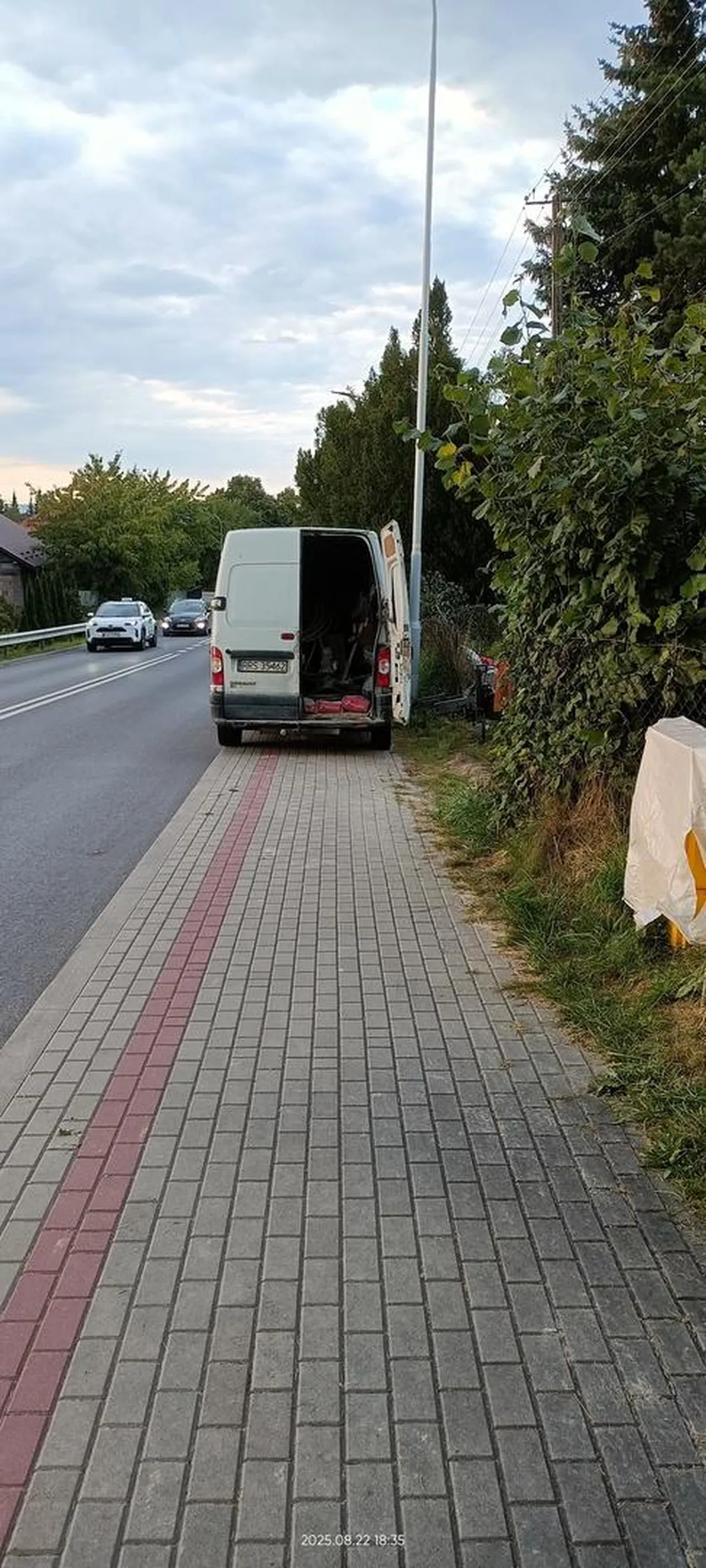 Święta krowa chodnikowa