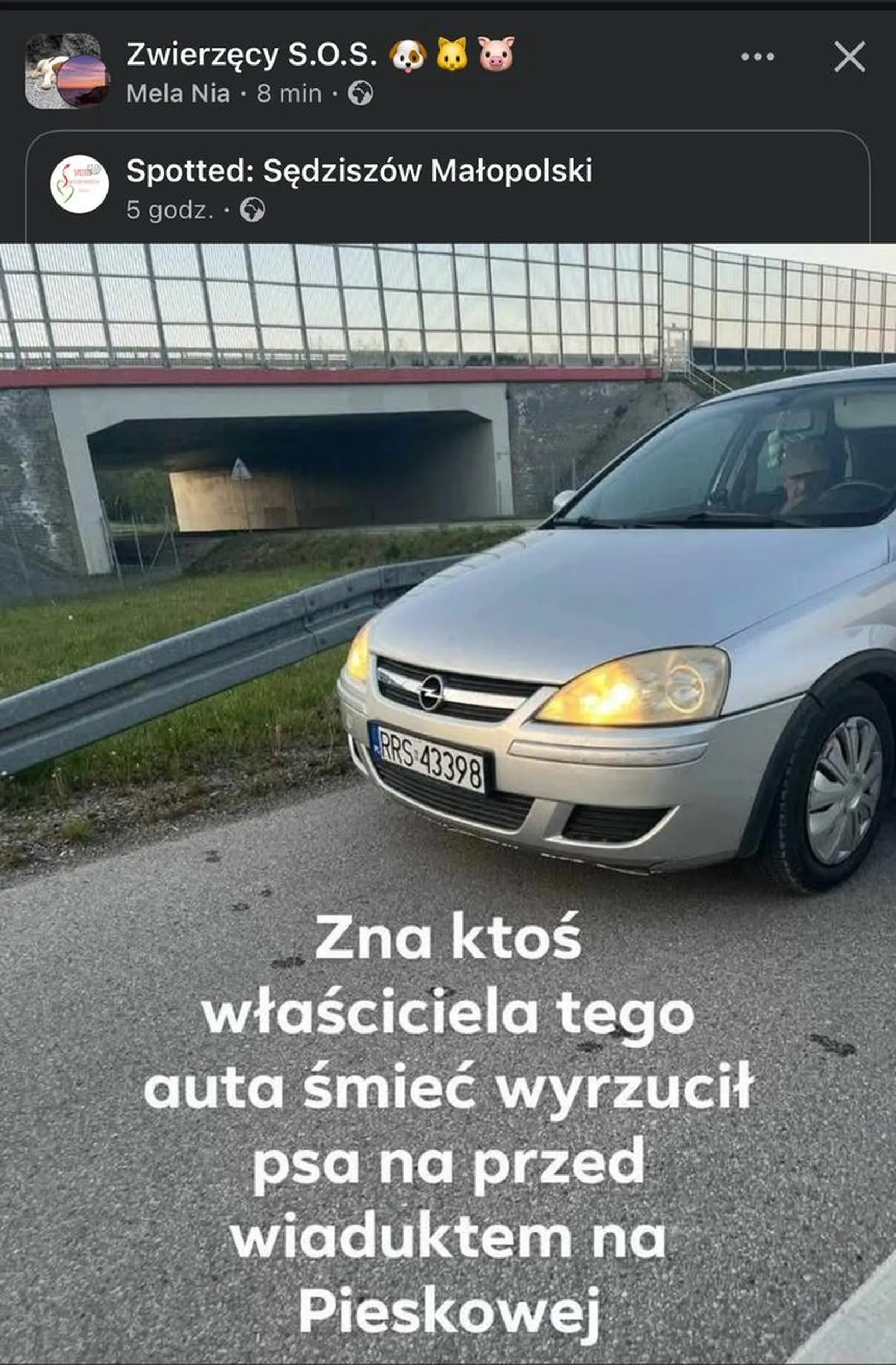 Rzekomo wyrzucił psa z samochodu na wiadukcie