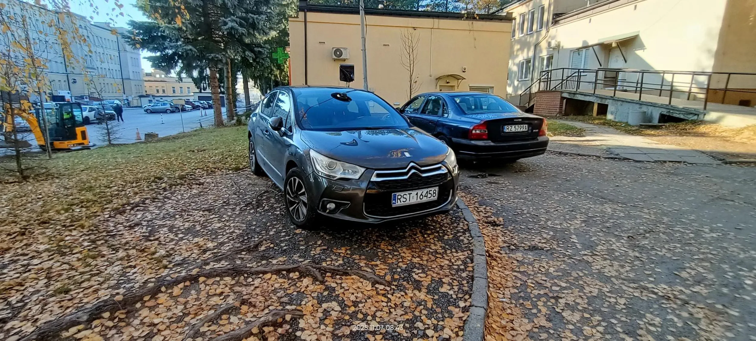 Święta krowa trawnikowa. Tak tutaj kiedyś był trawnik.