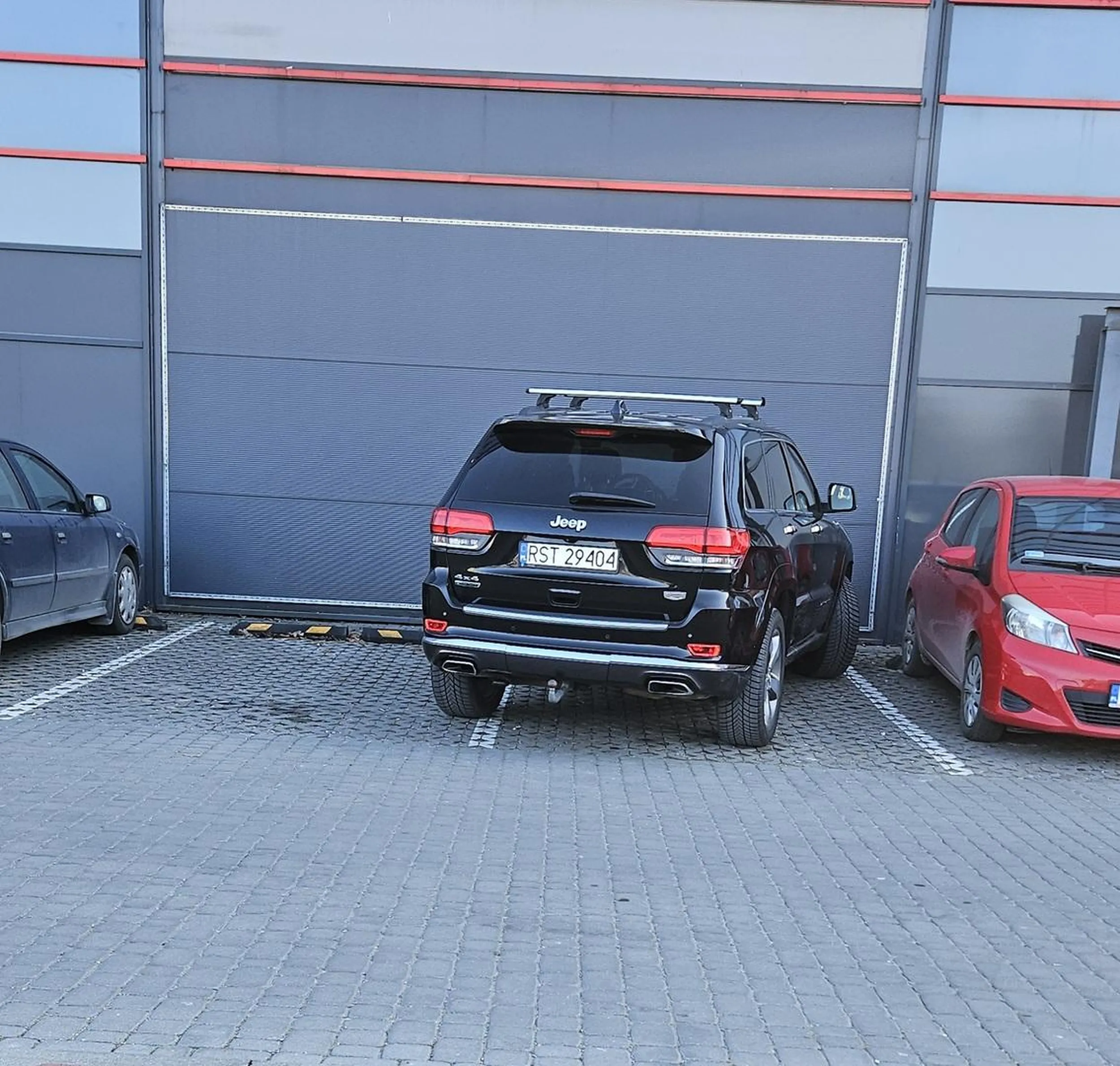 Ameba z okrągłym prawem jazdy