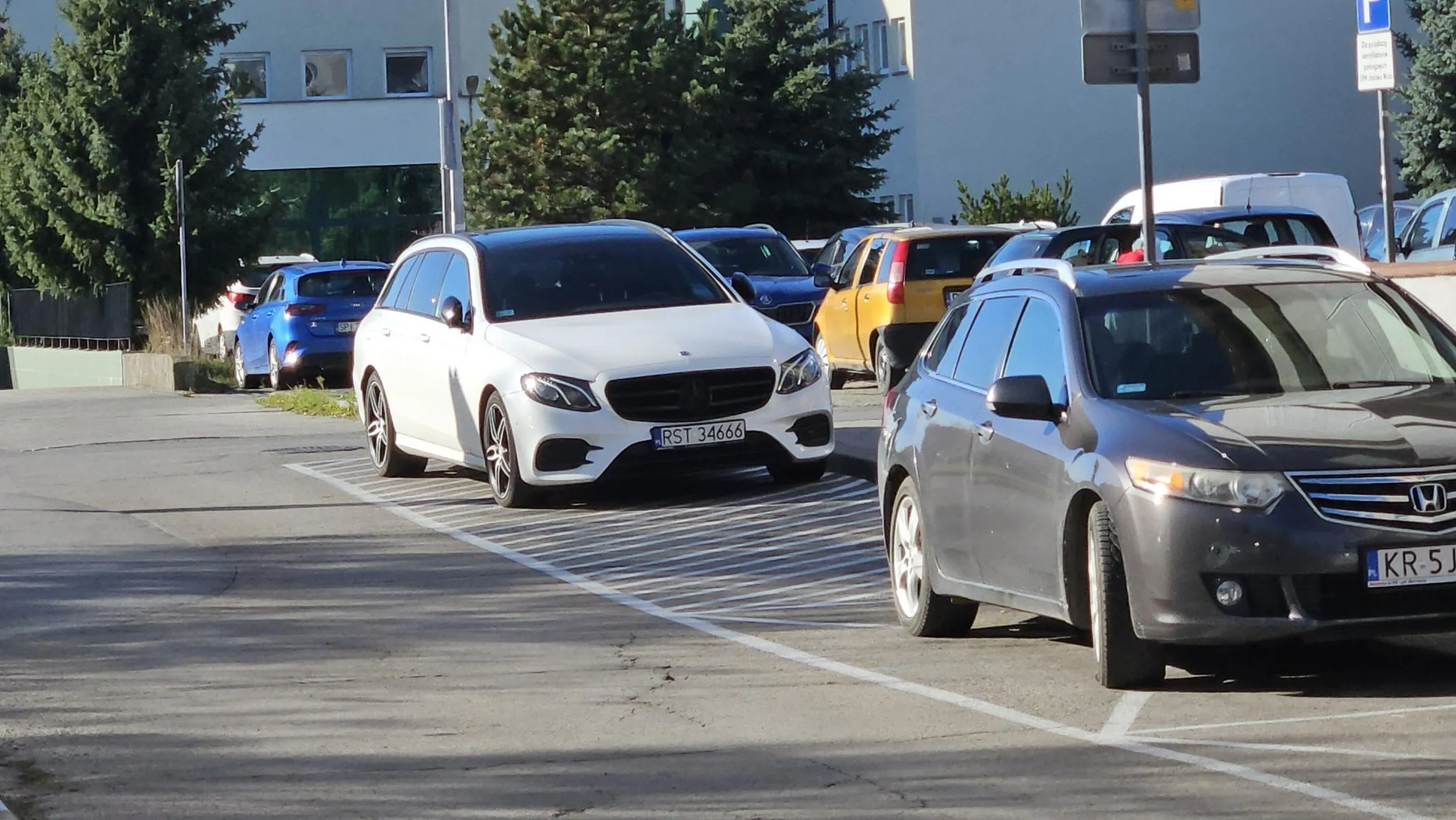 Właściciel z dodatkowym chromosomem