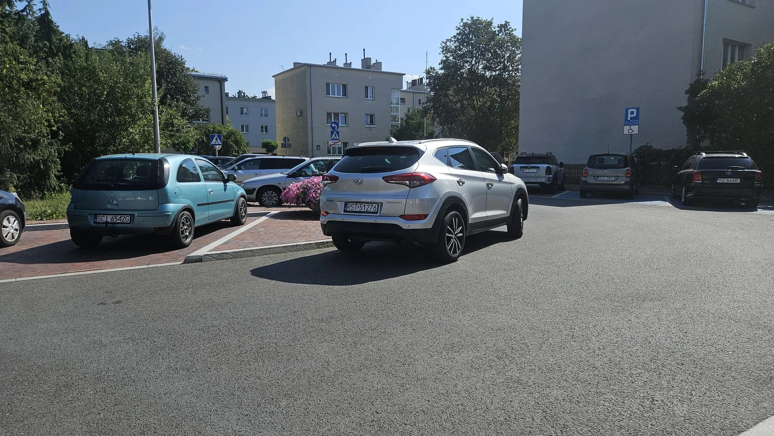 Mimo wolnych miejsc codziennie staje jak święta krowa