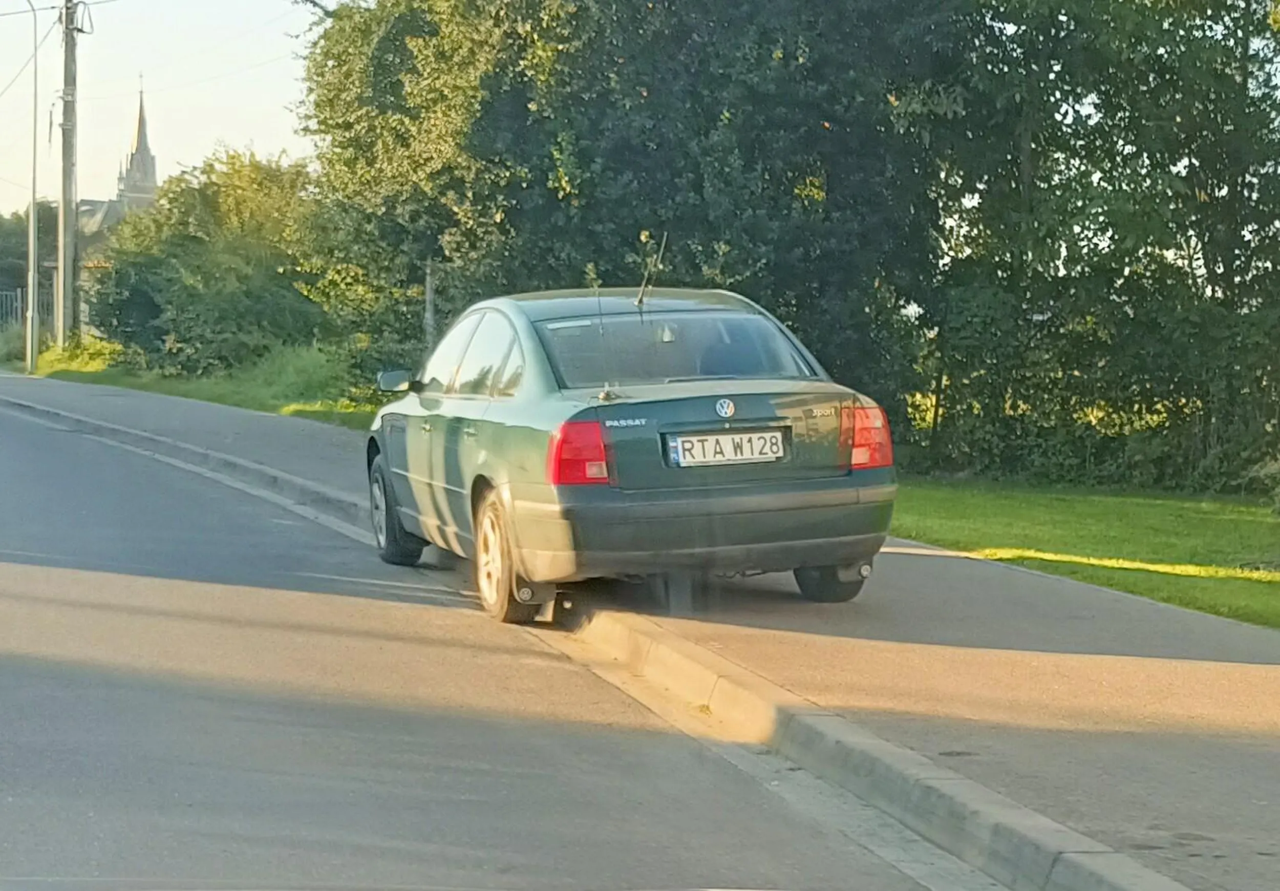 Święta krowa chodnikowa.