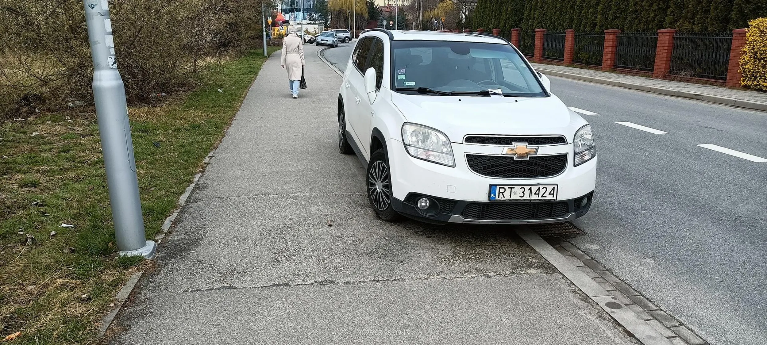 Święta krowa na drogę pieszo-rowerową się wjebała.