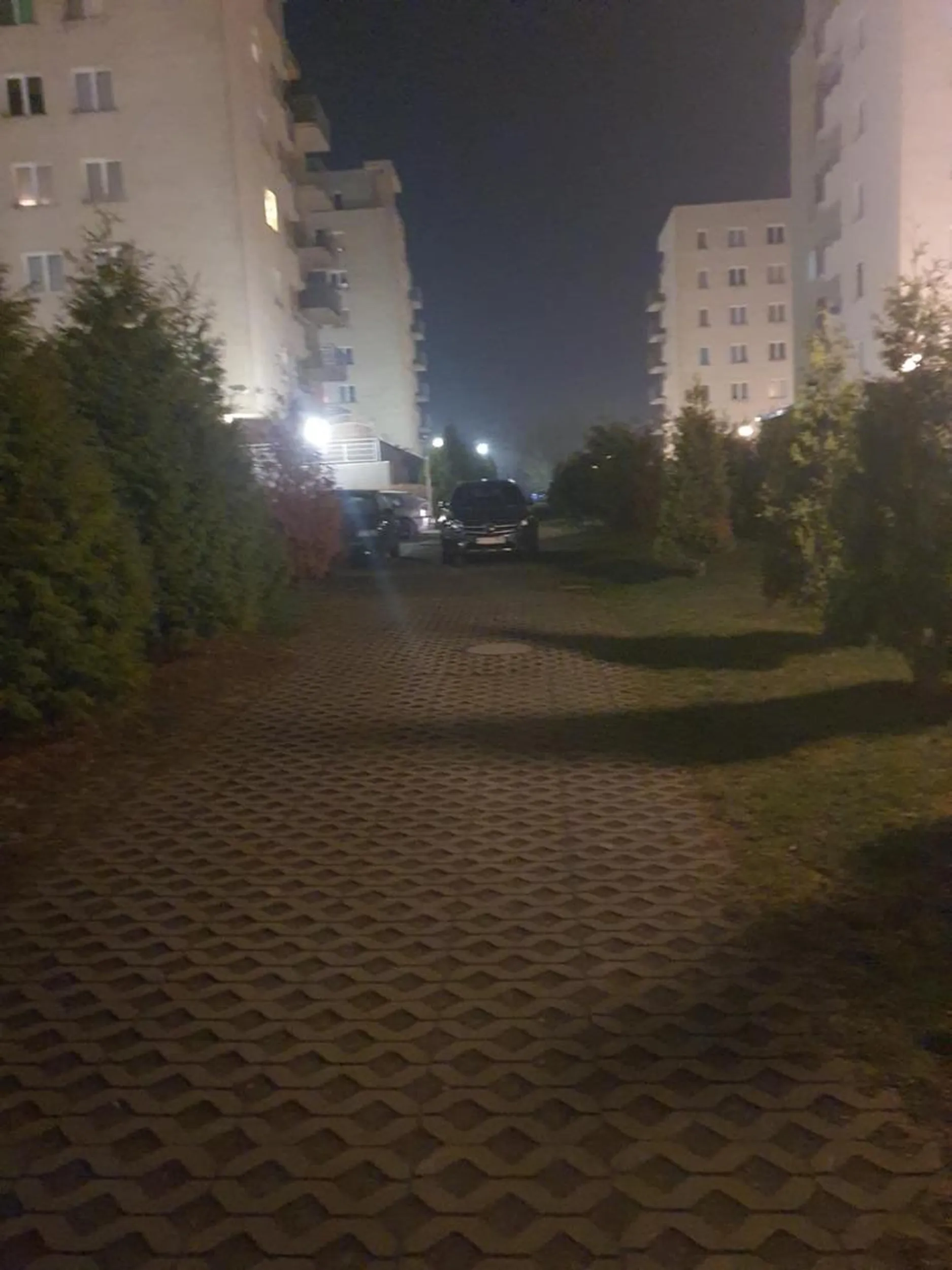 Czy ty jesteś kur** jakiś inny? Rodzice cię nie kochali? Nie musisz tego pokazywać na szeroką skalę. Jeśli nie potrafisz się dostosować do społeczeństwo i panujących warunków to idź w dzicz....