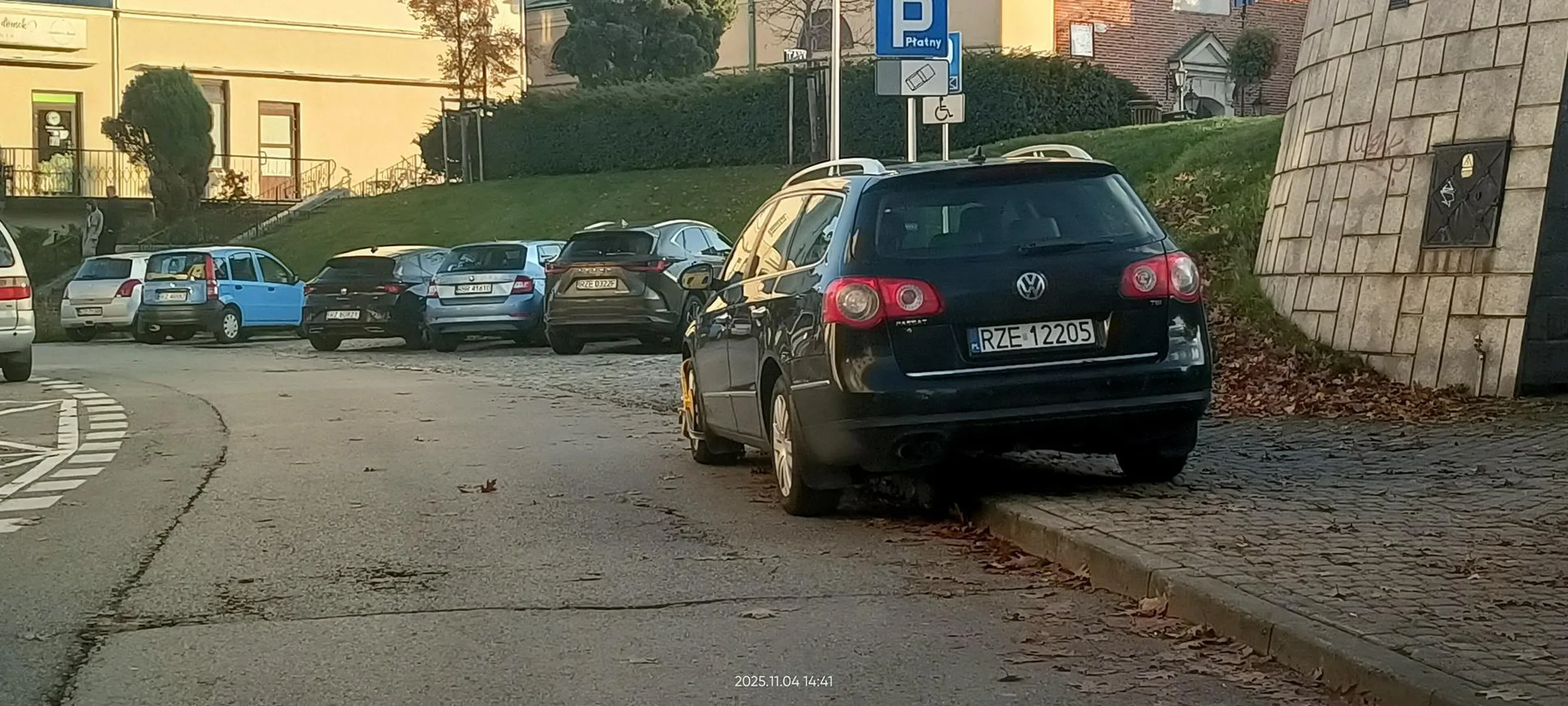 Święta krowa chodnikowa