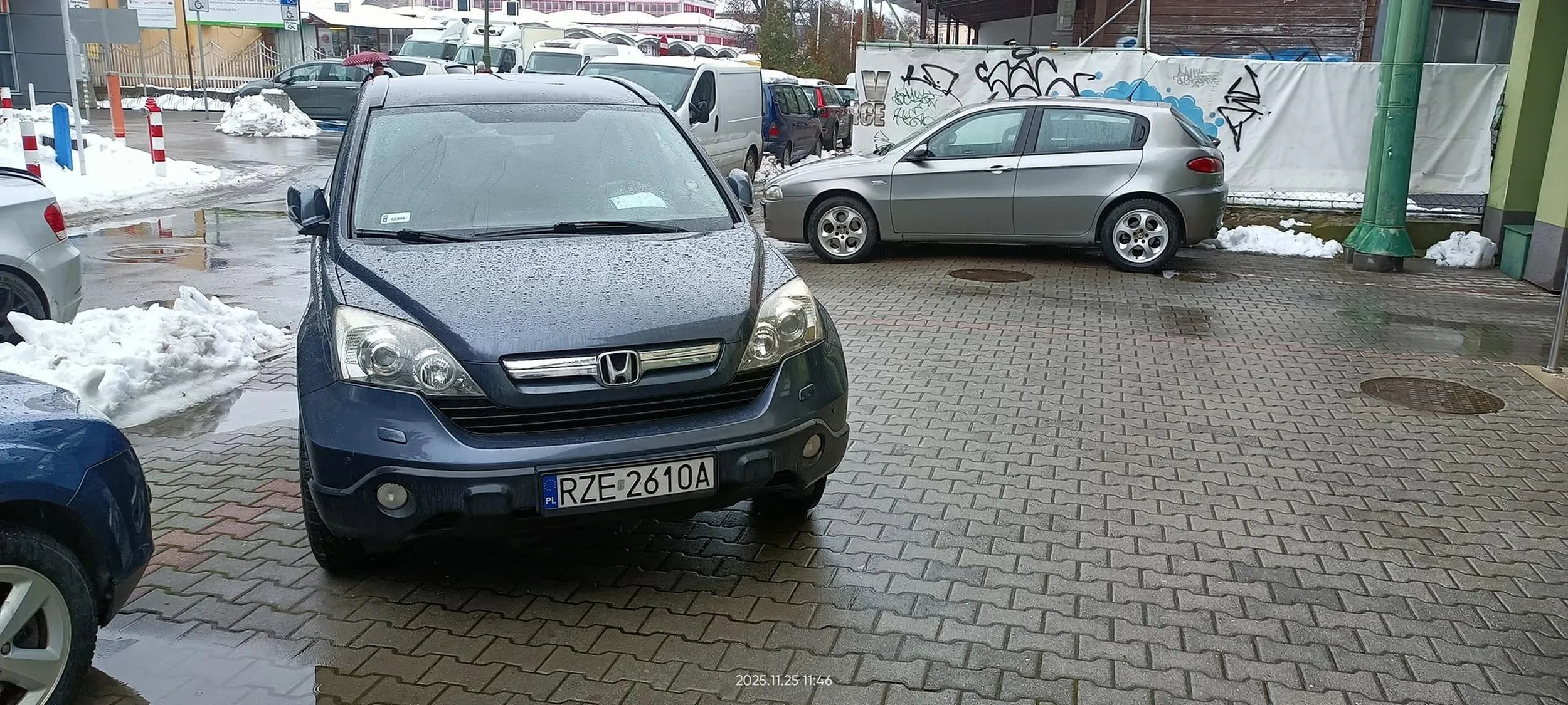 Święta krowa chodnikowa