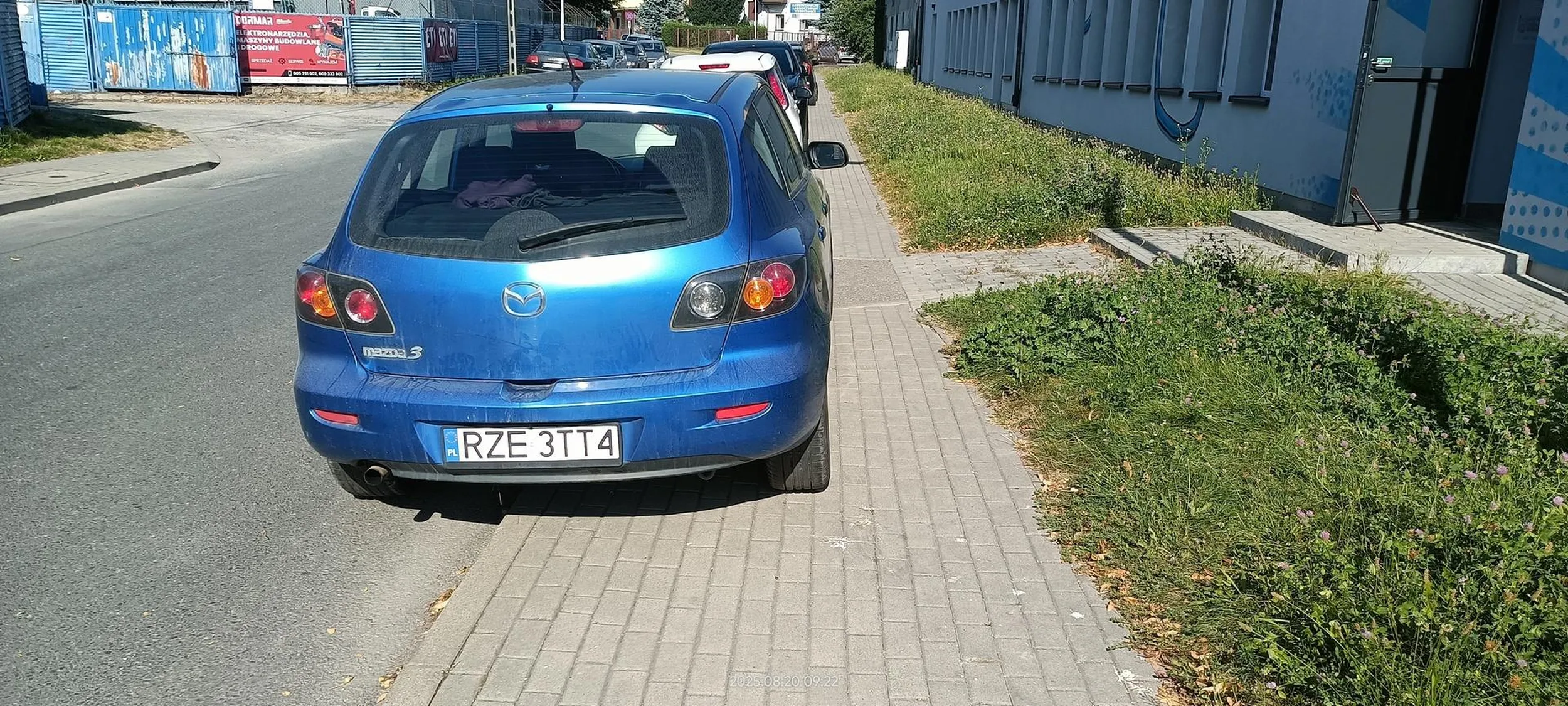 Święta krowa chodnikowa.