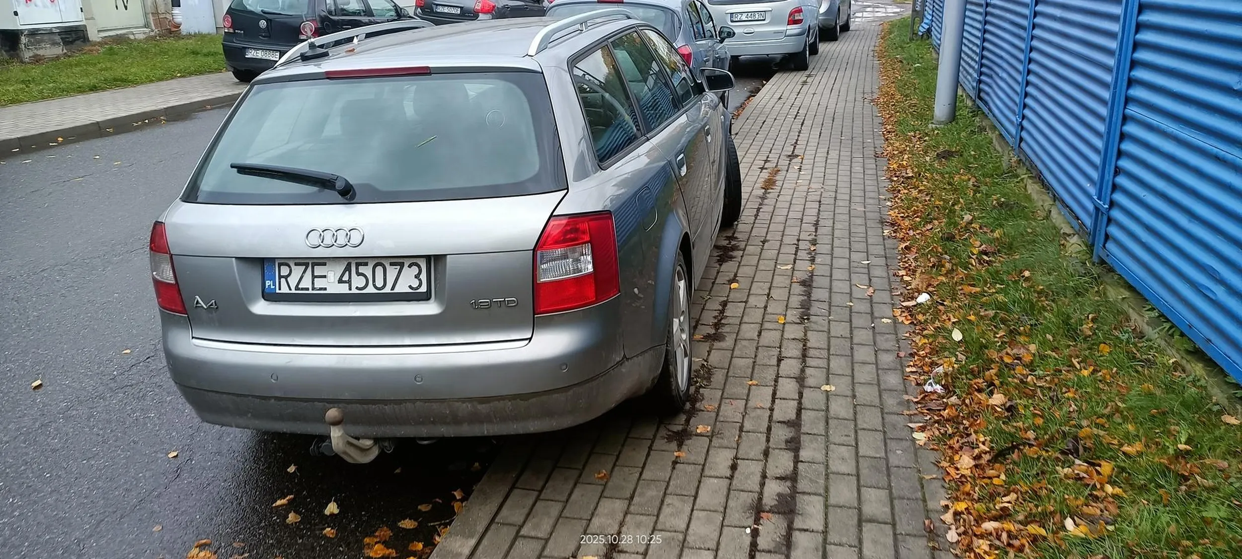 Święta krowa chodnikowa.