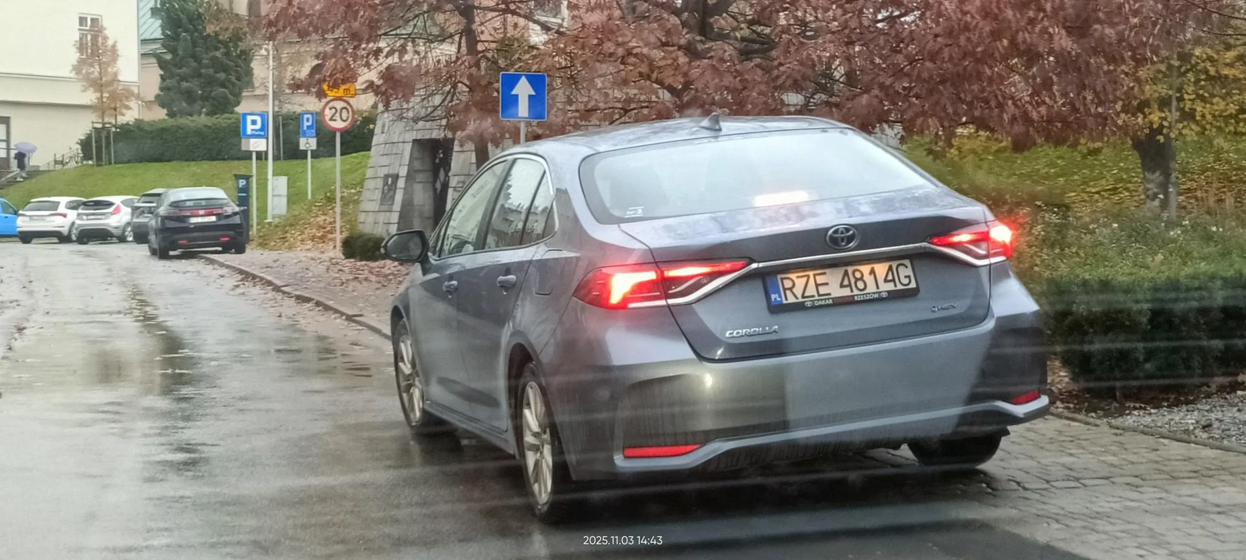 Święta krowa chodnikowa