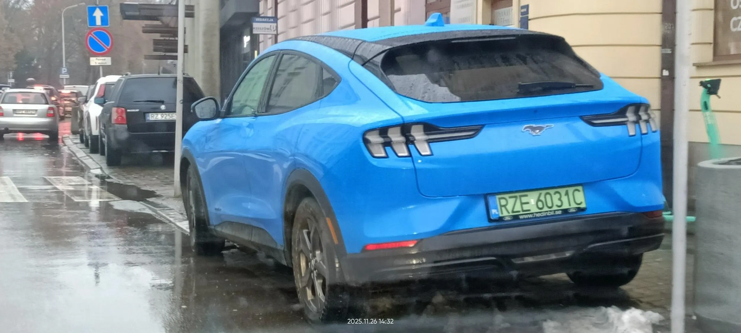 Święta krowa chodnikowa, bezpośrednio przed przejściem dla pieszych.