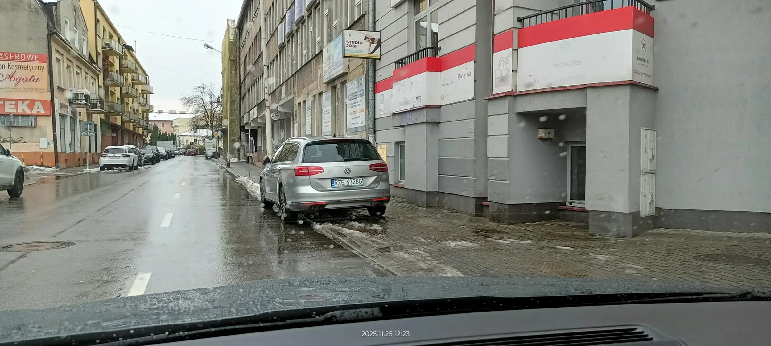 Święta krowa chodnikowa