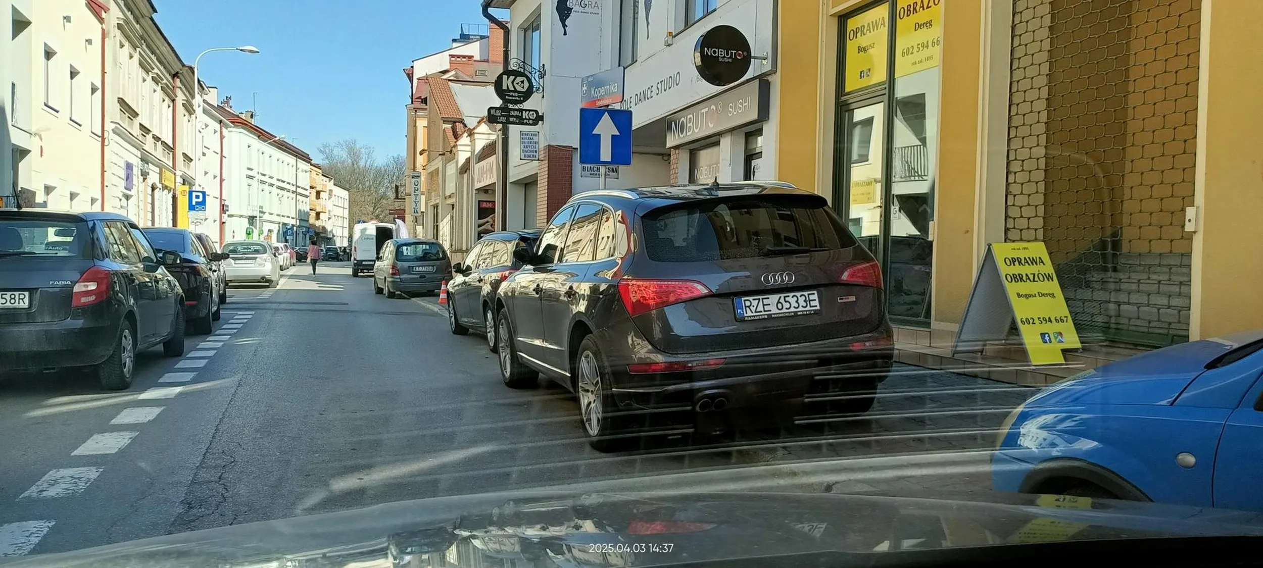 Święta krowa chodnikowa