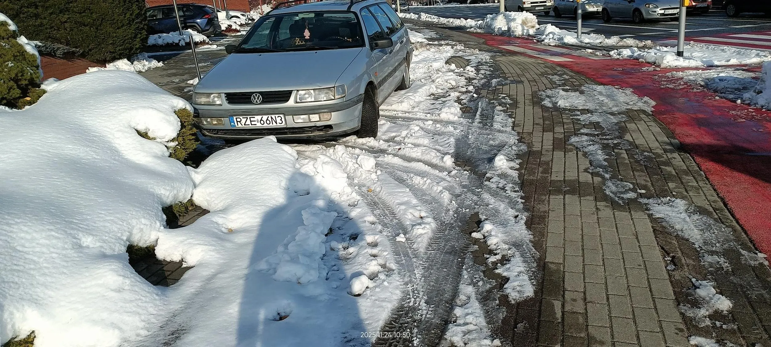 Święta krowa chodnikowa. Kierowca jeździ po chodniku.
