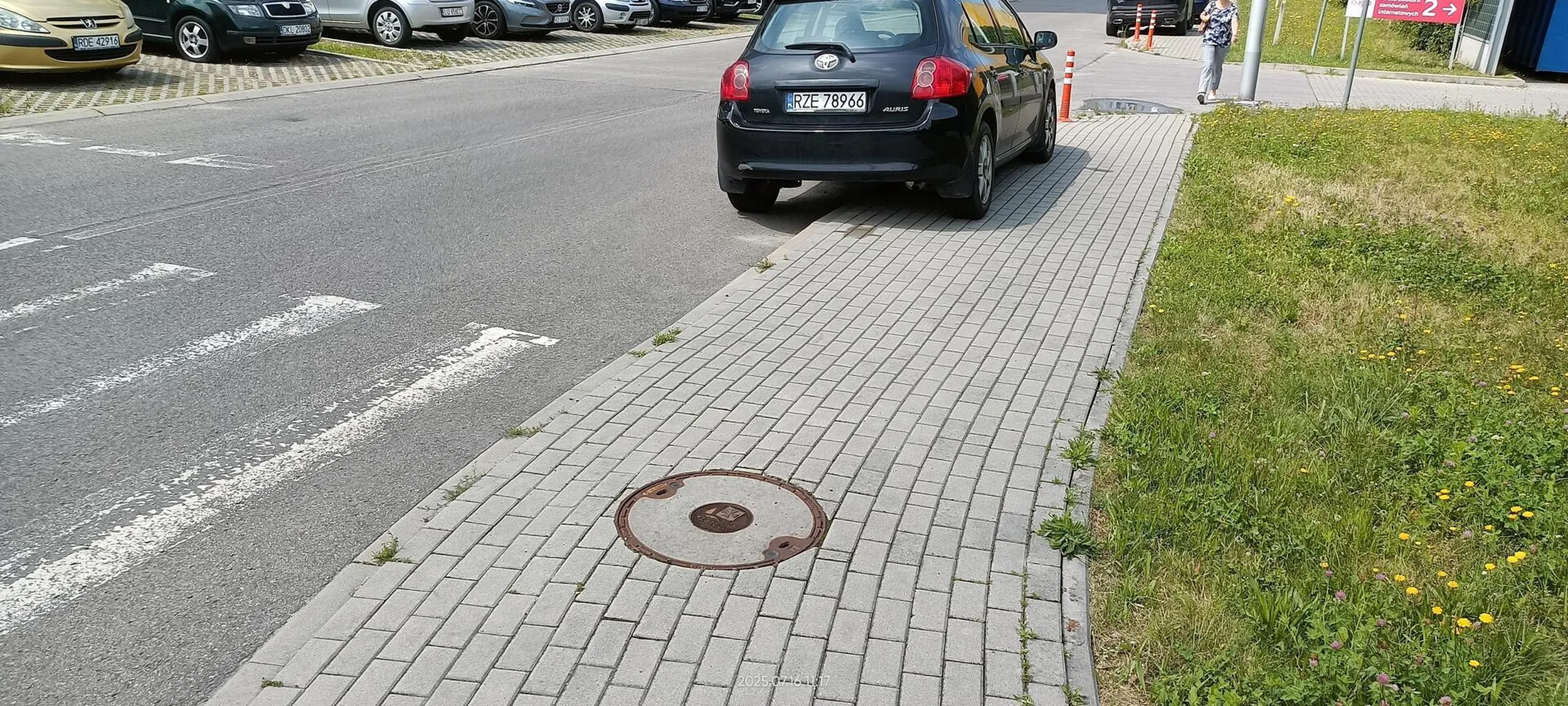 Święta krowa chodnikowa.