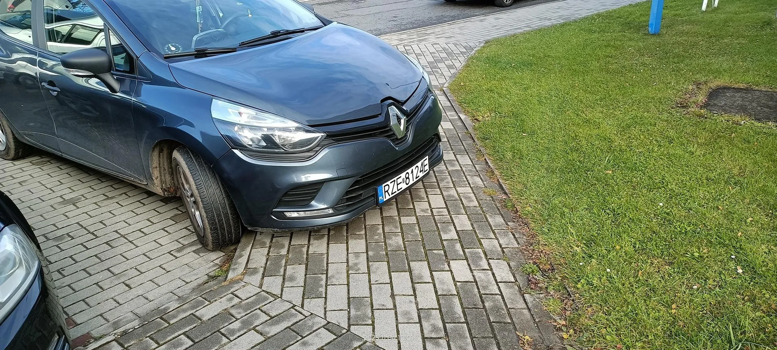 Święta krowa chodnikowa.