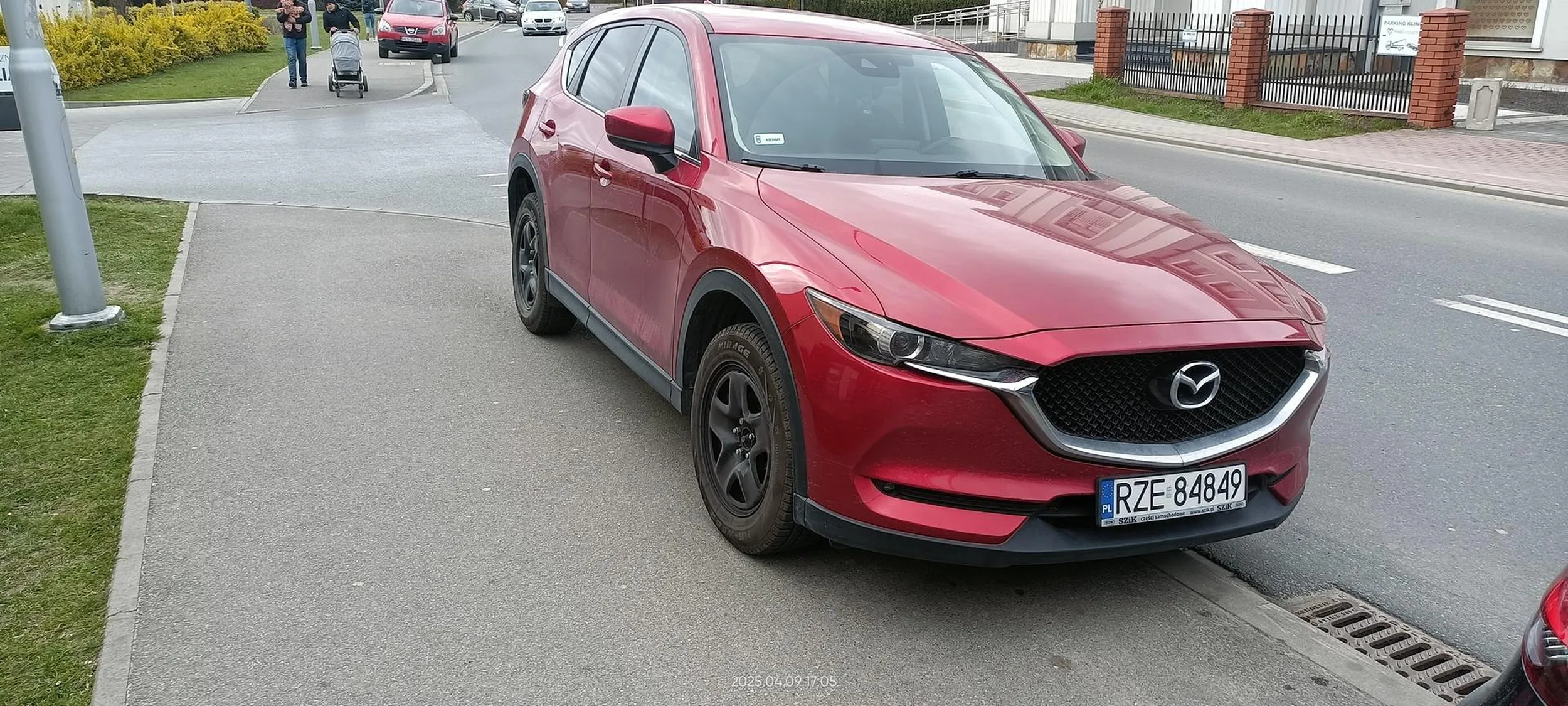 Święta krowa chodnikowa.