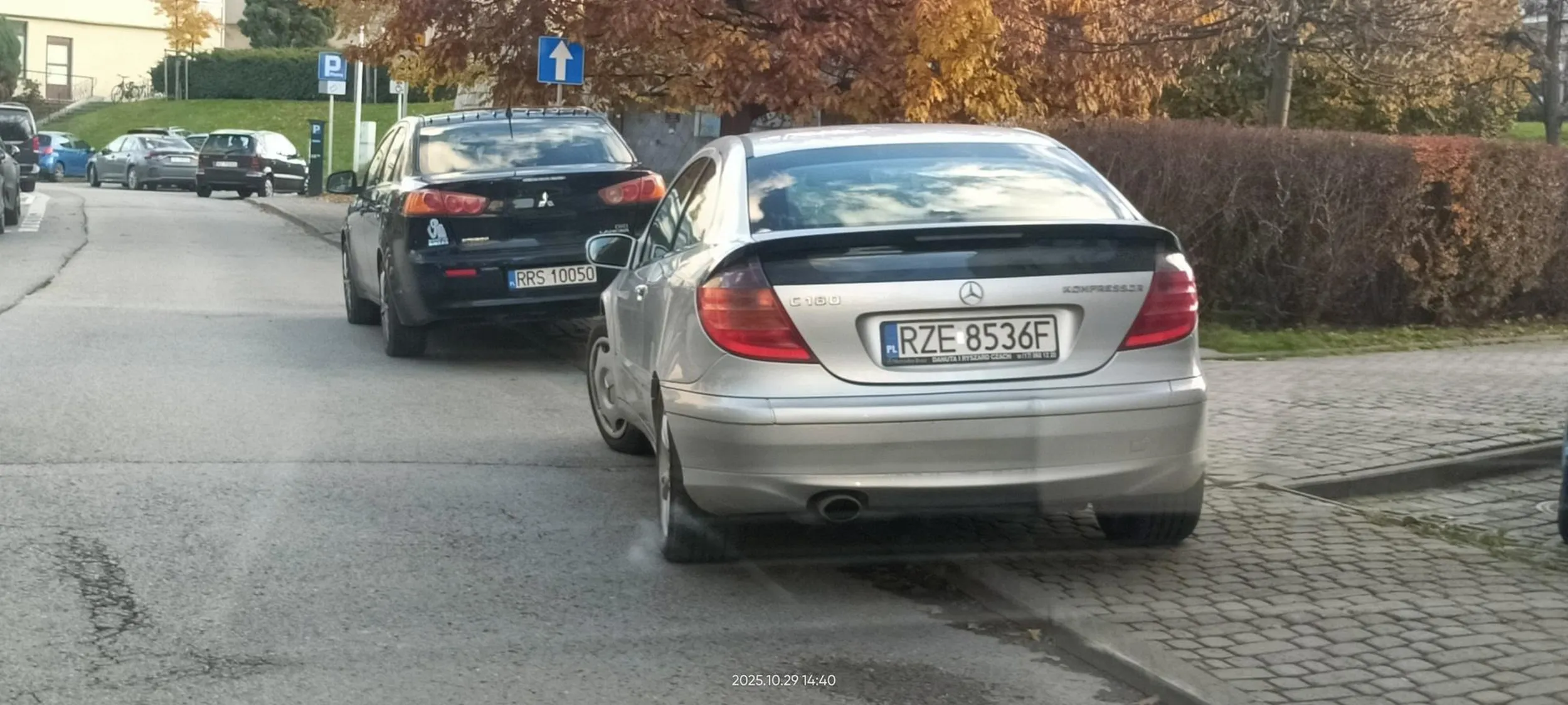 Święta krowa chodnikowa.