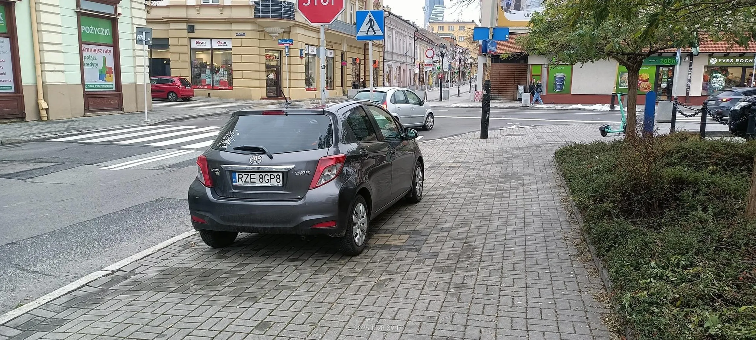 Święta krowa chodnikowa przed przejściem dla pieszych.