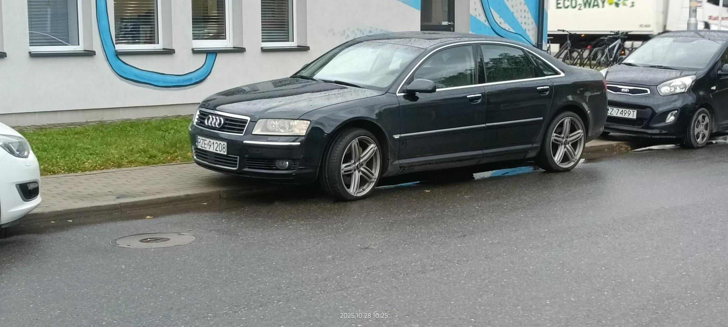 Święta krowa chodnikowa.