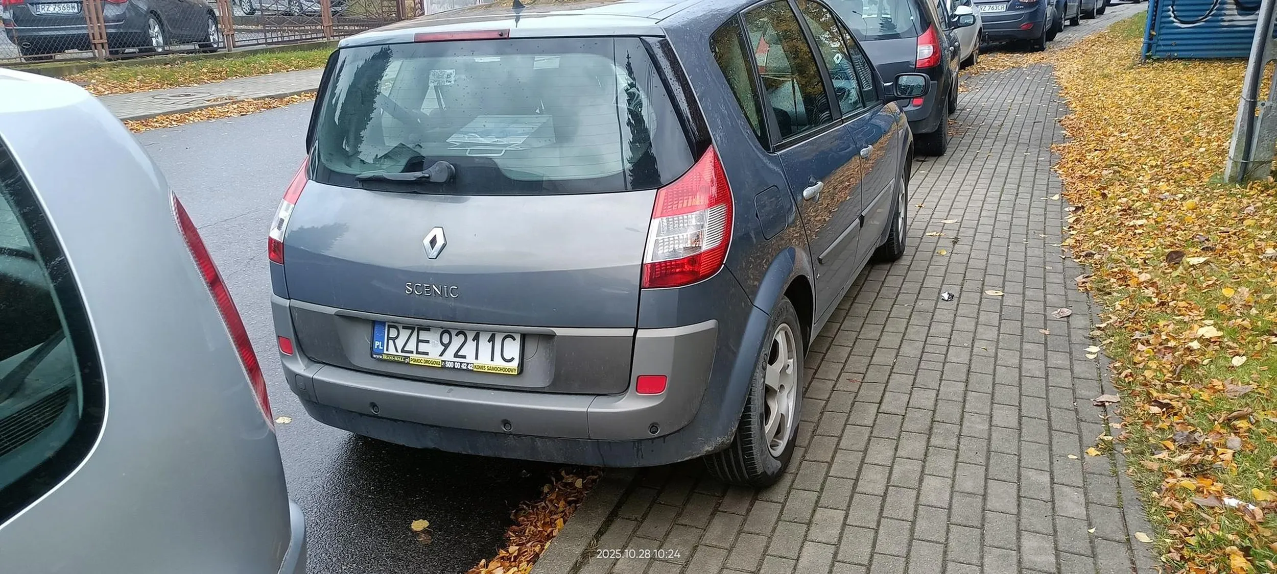 Święta krowa chodnikowa.