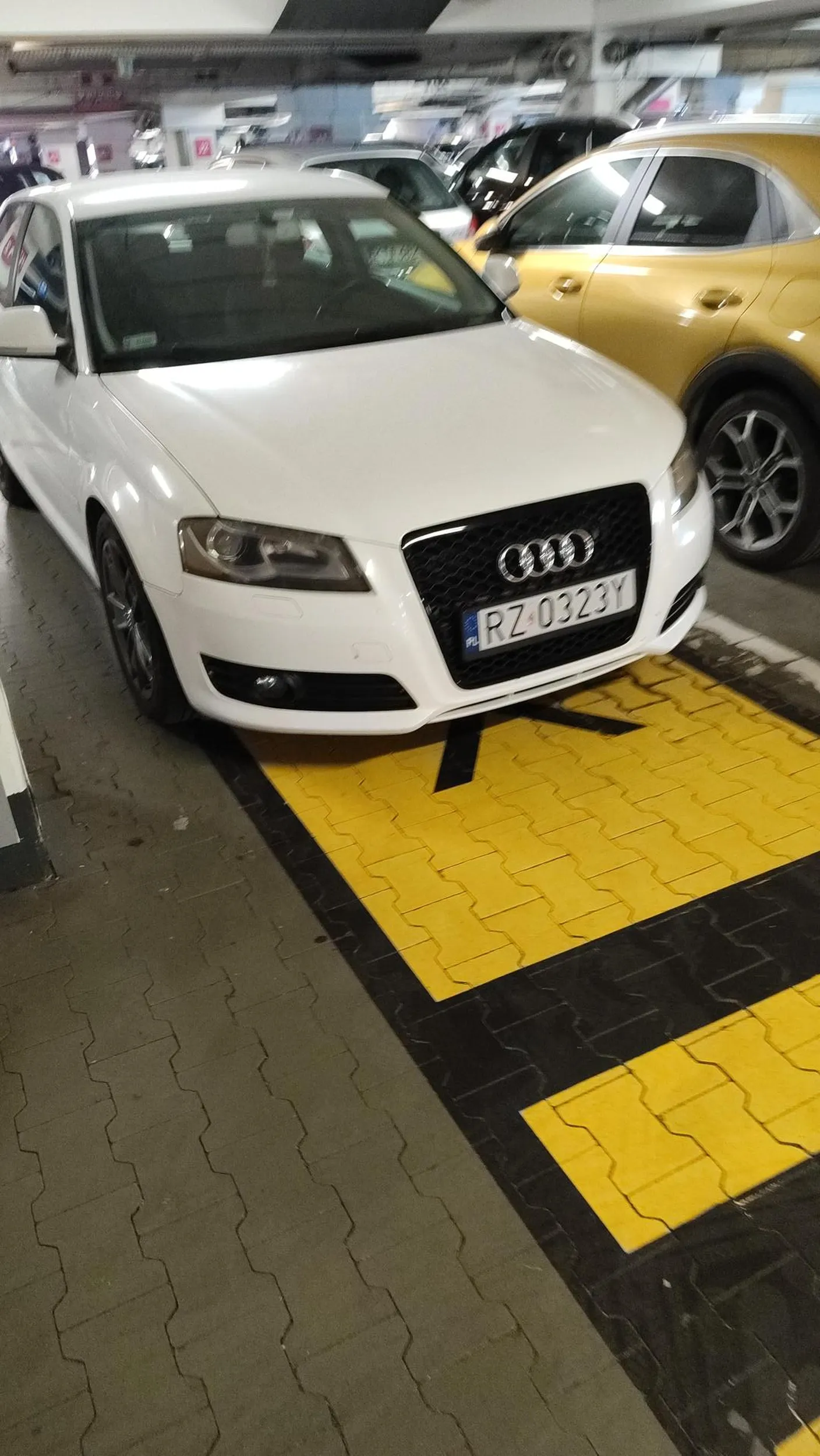 Szkoda że w galerii nie są oznaczone ścieżki na których jest tych pieszy, gdzie nie można parkować. Wielka szkoda. Gdyby tylko jakoś je oznaczyć.