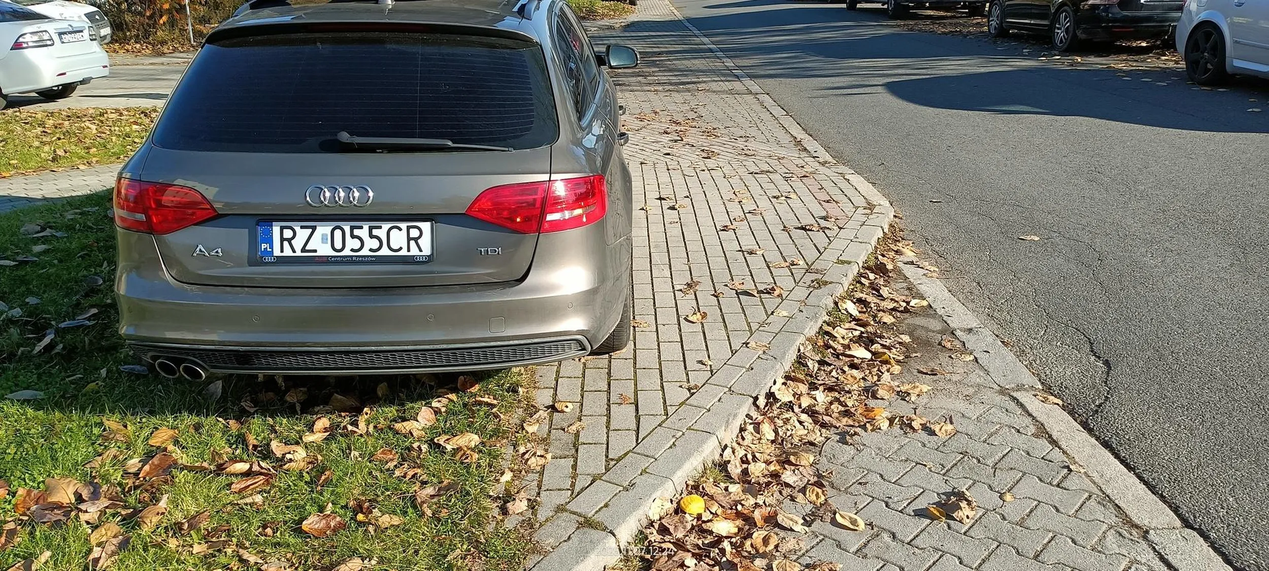 Święta krowa trawnikowa.