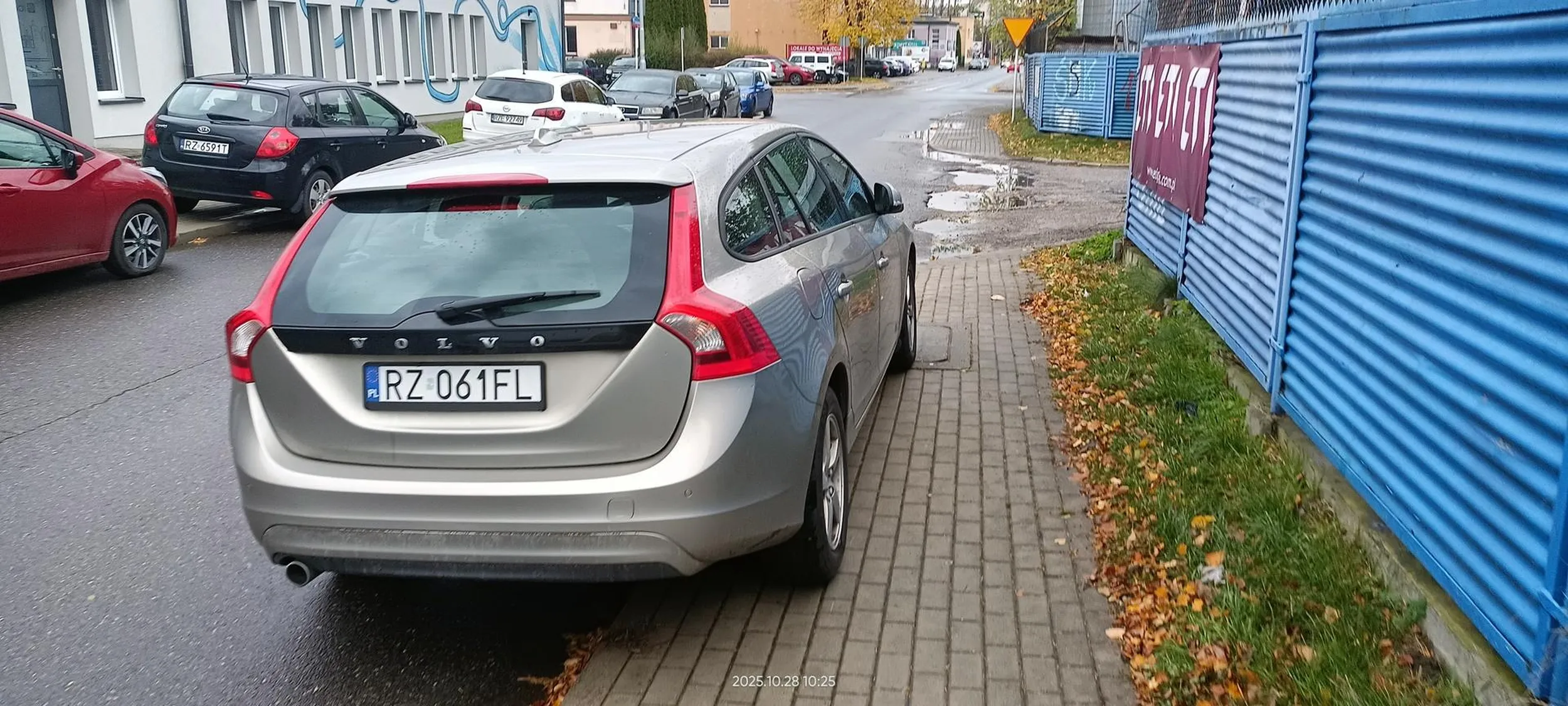 Święta krowa chodnikowa.