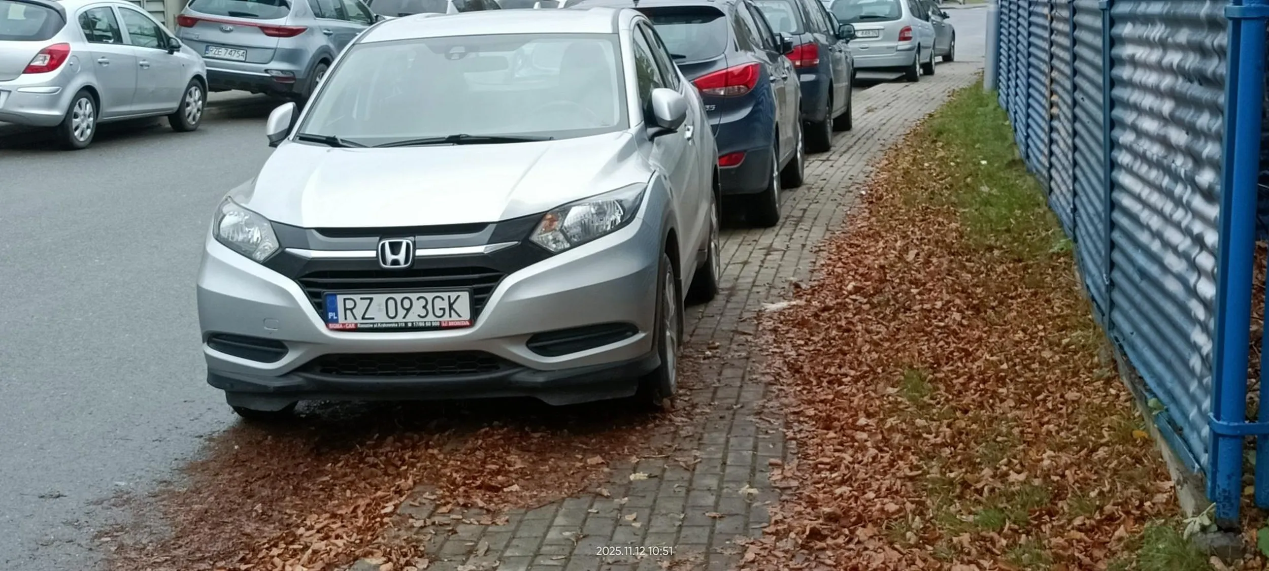 Święta krowa chodnikowa.